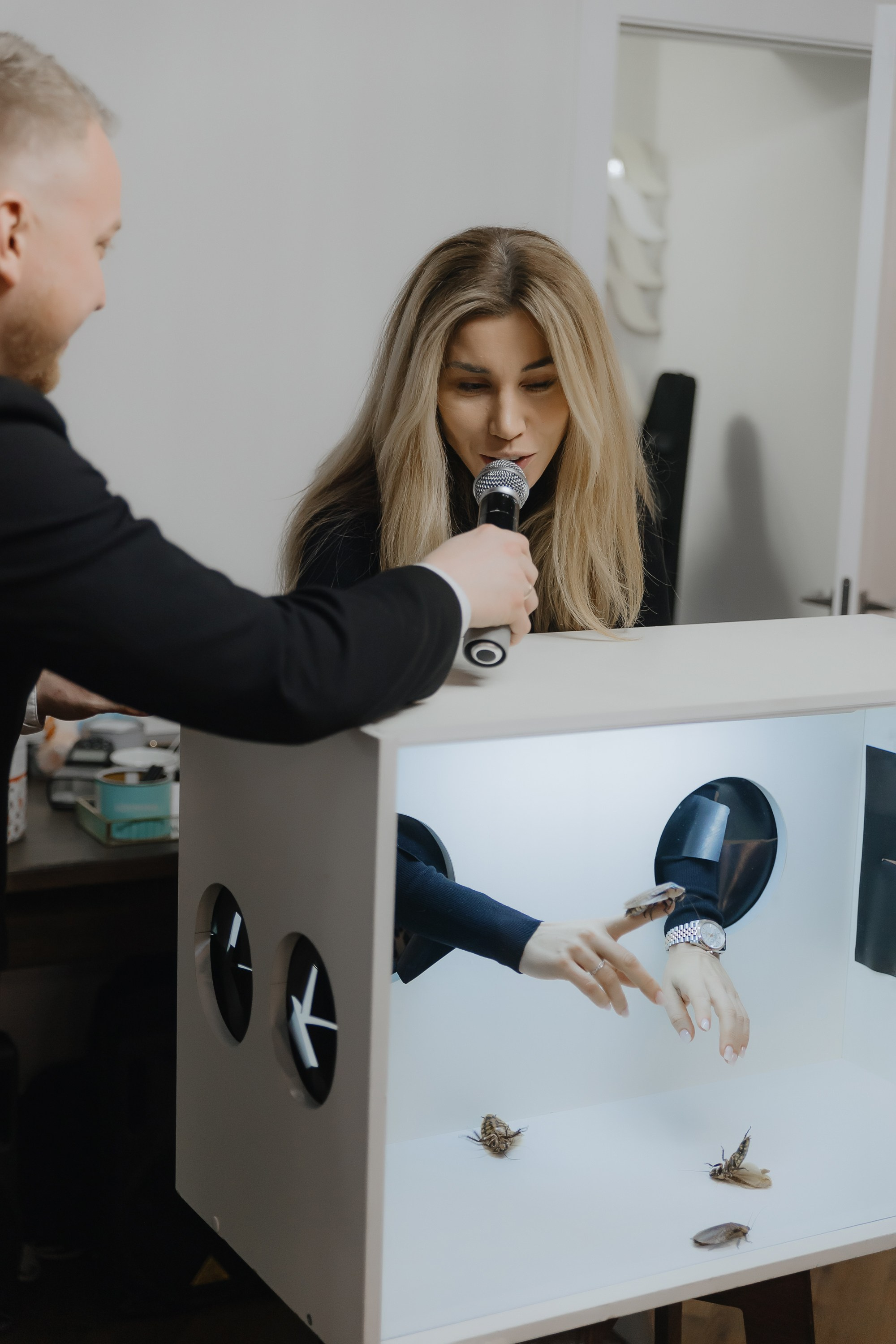 Открытие нового пространства интерьерного салона L. DECO в феврале 2025. L. Deco интерьерный салон. Краски/обои/лепной декор