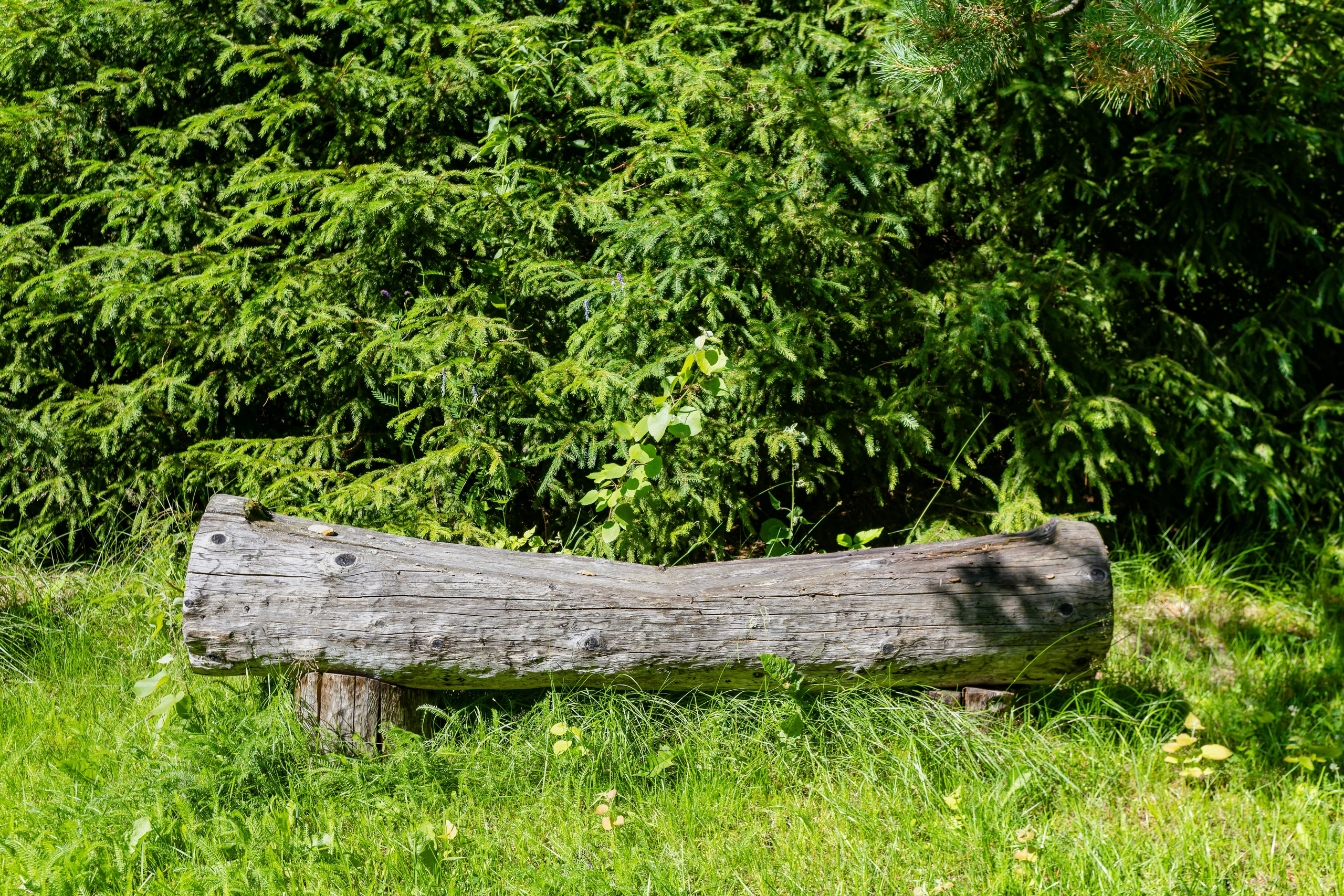 Гостевые дома «Уксунлахти» (деревня Ууксу). Аэросъемка. Фото и Видео в Карелии. Алексей Фрилунд