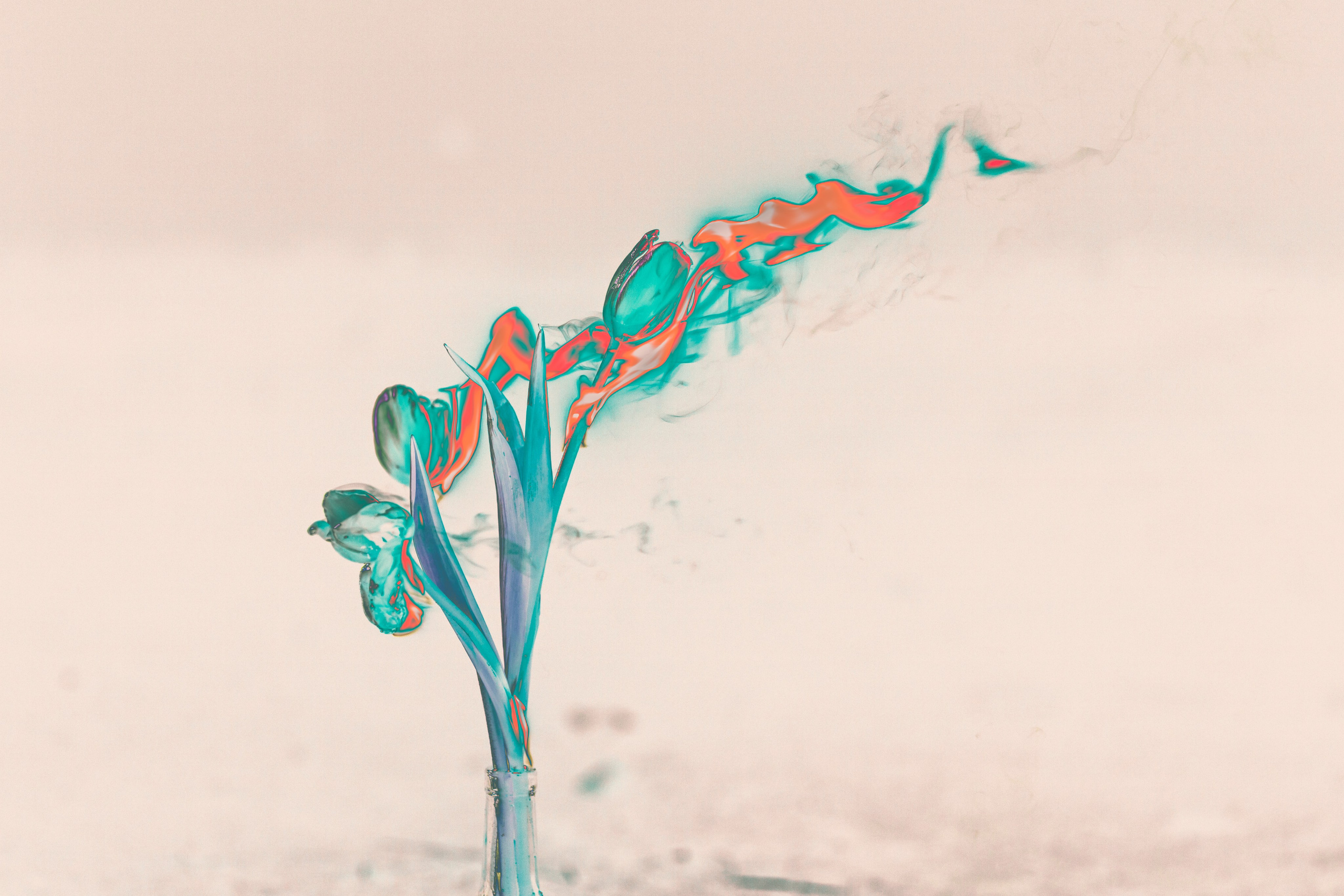 NON-EXISTENT FLOWERS. Фотограф Евгений Чащихин RGB АРХИТЕКТОР в Перми