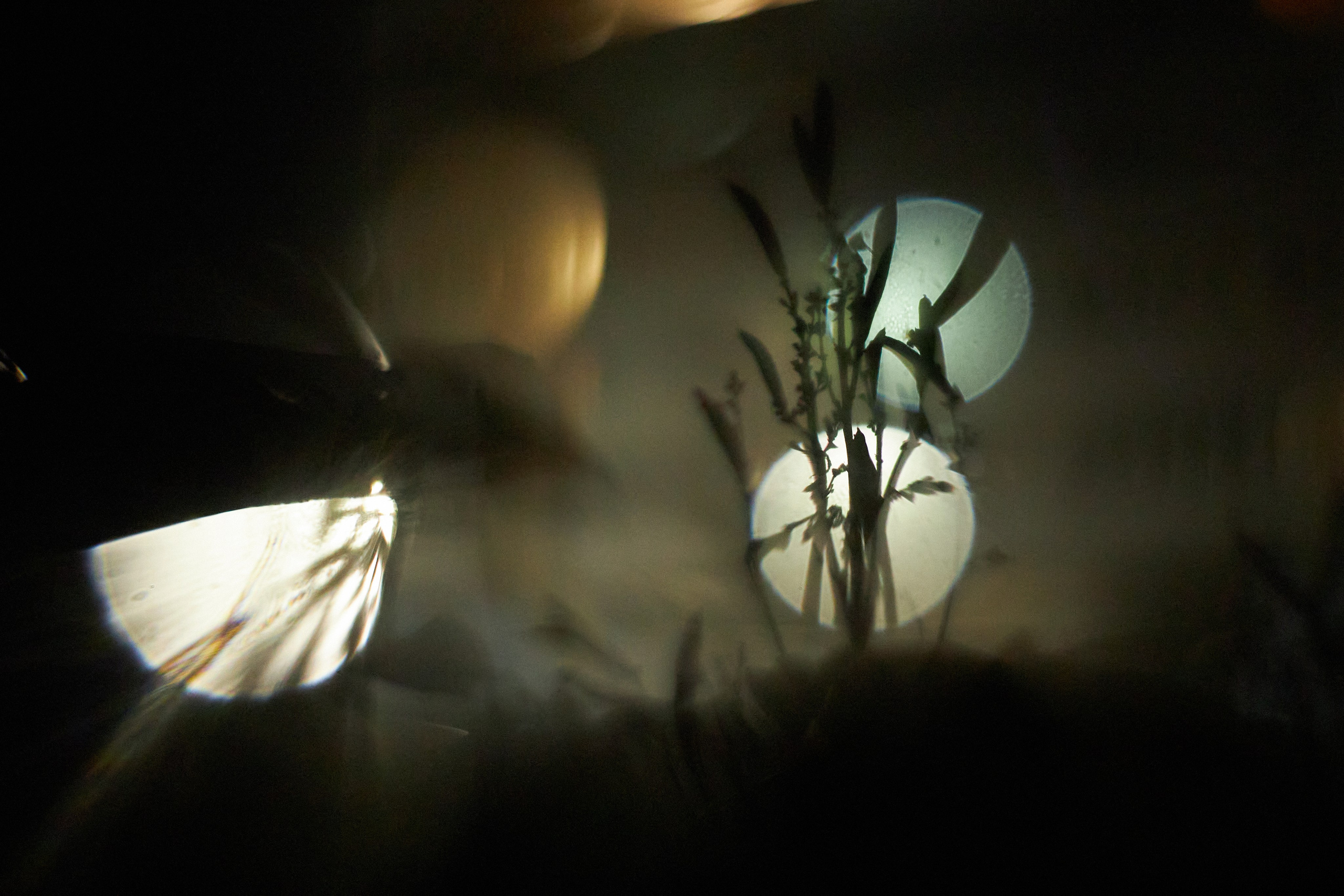 «Незримые Миры». Арт-фотограф во Владивостоке Дмитрий Осипчук