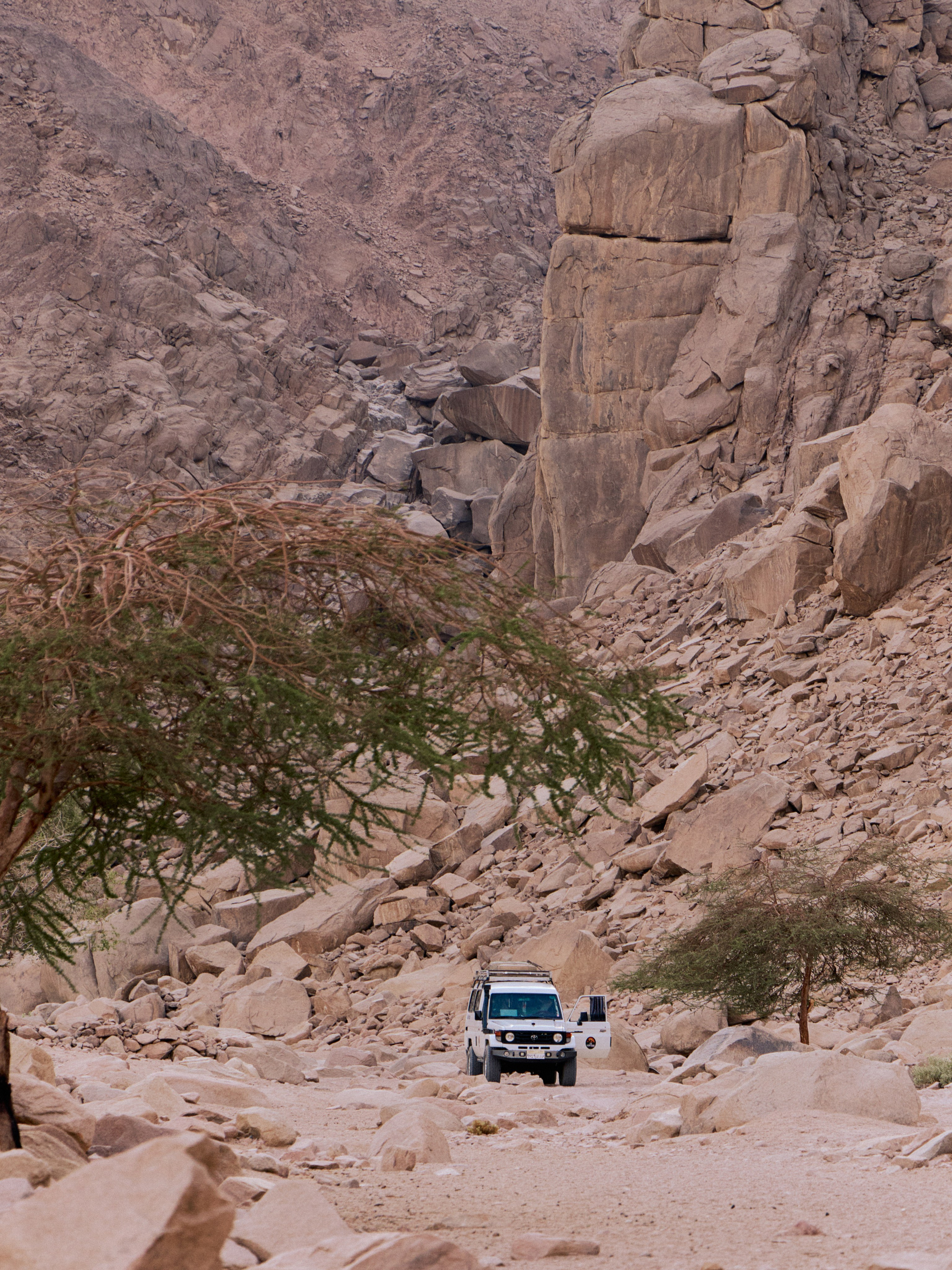 Другое 3. Jorgis — фотограф в Хургаде / обучение фотографии