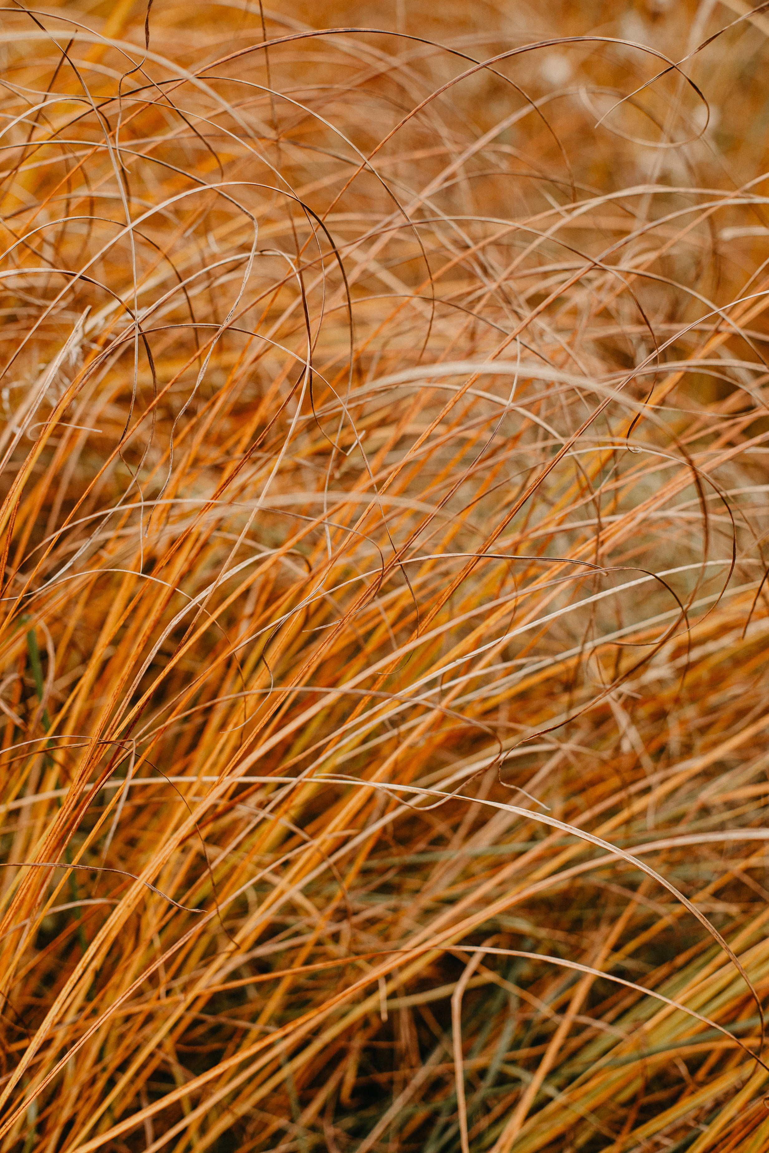 Семь Братьев. Семейный фотограф Трусова Евгения в Екатеринбурге