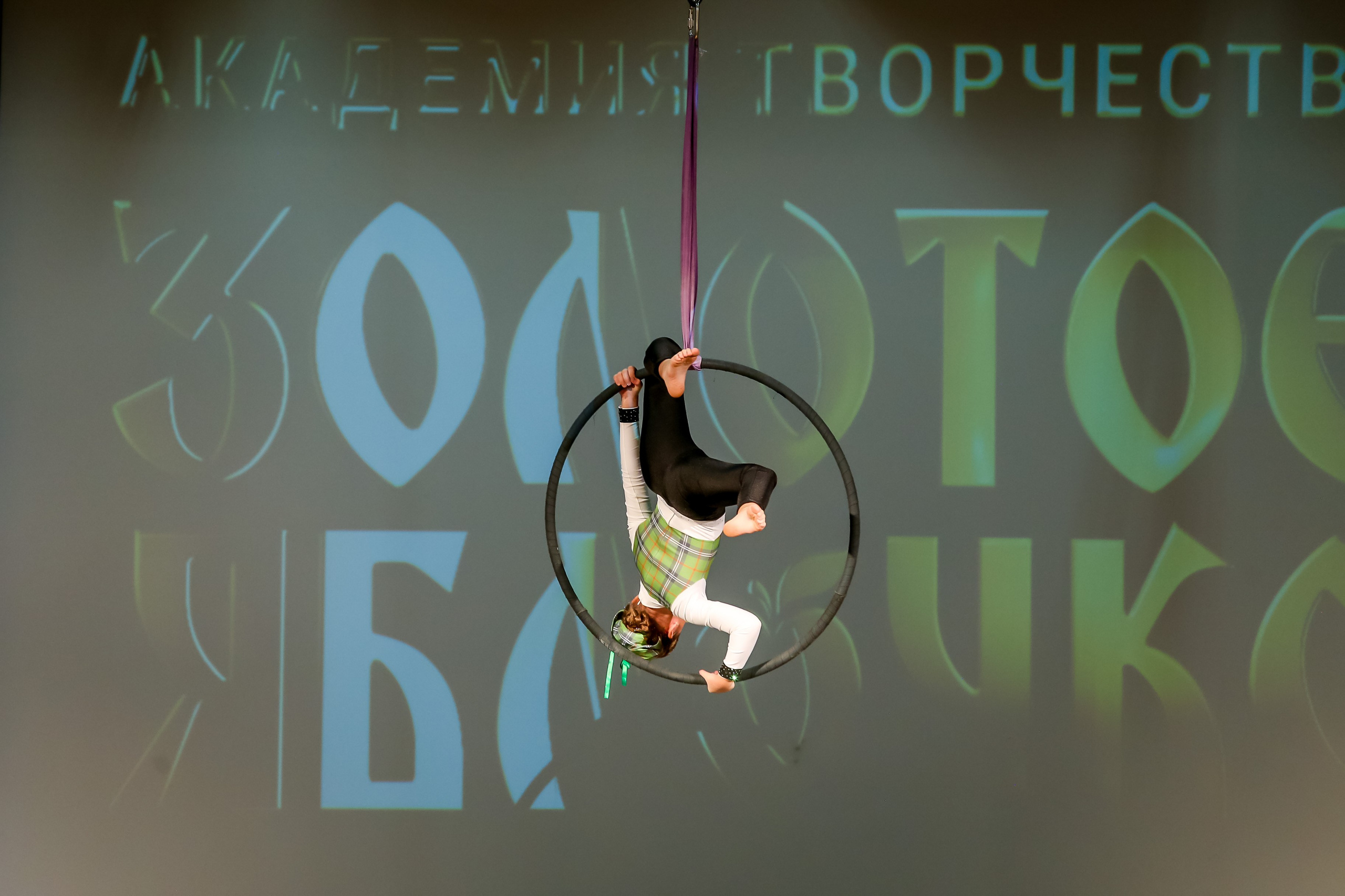 2 марта, г. Владимир. Золотое яблочко