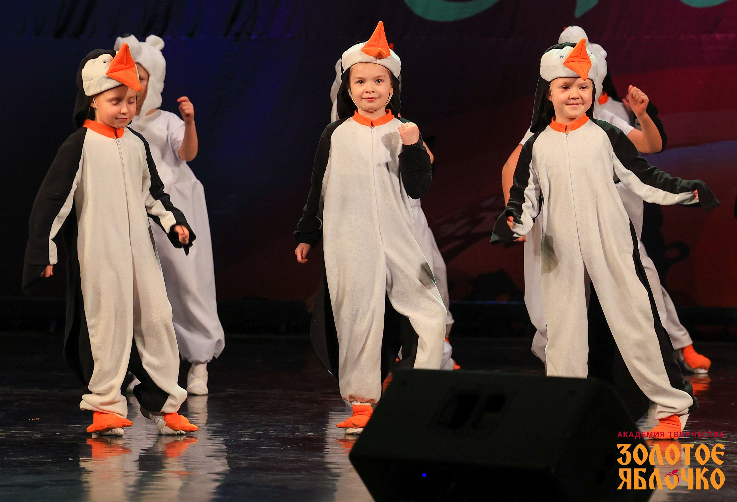 7 февраля, г. Петрозаводск. Золотое яблочко