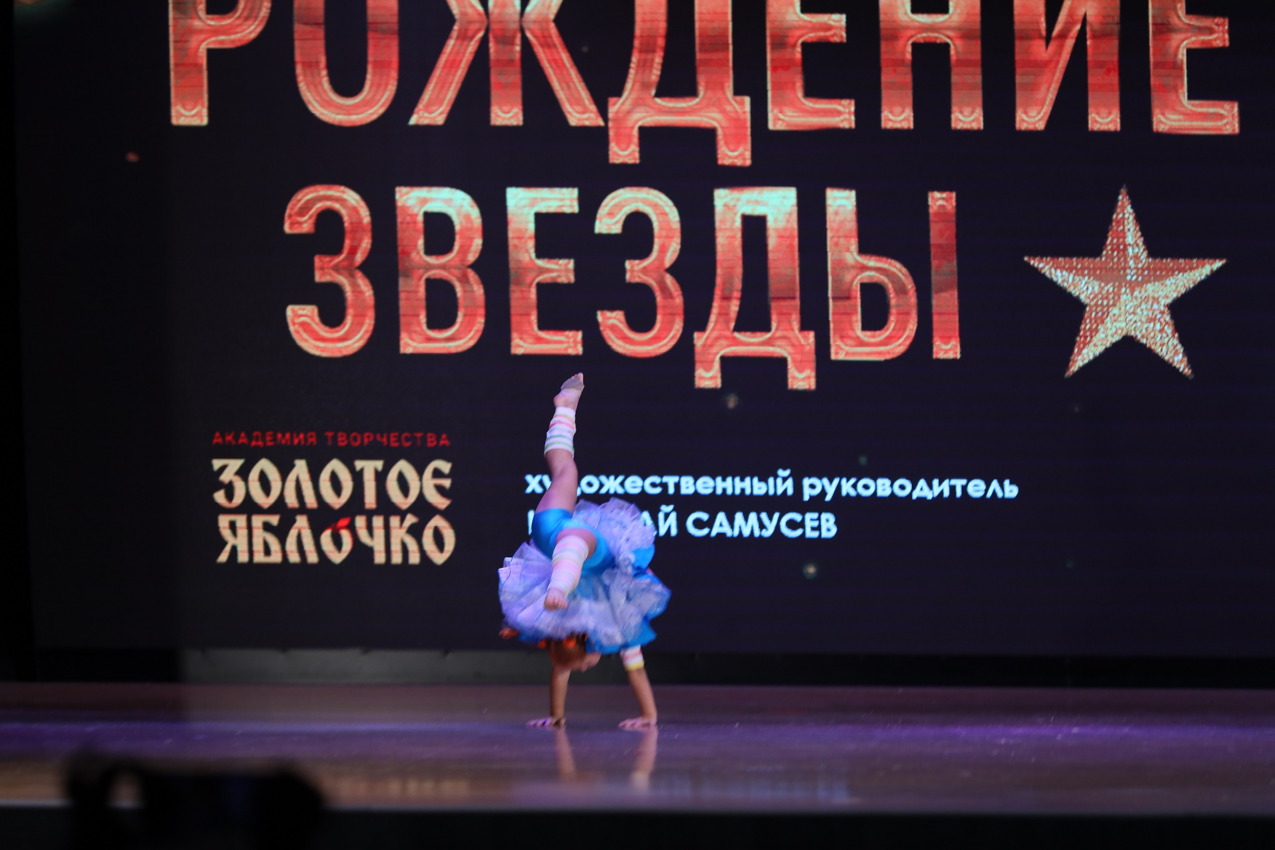 4 ноября, блок 1, видео, номера 49-58, г. Краснодар. Золотое яблочко