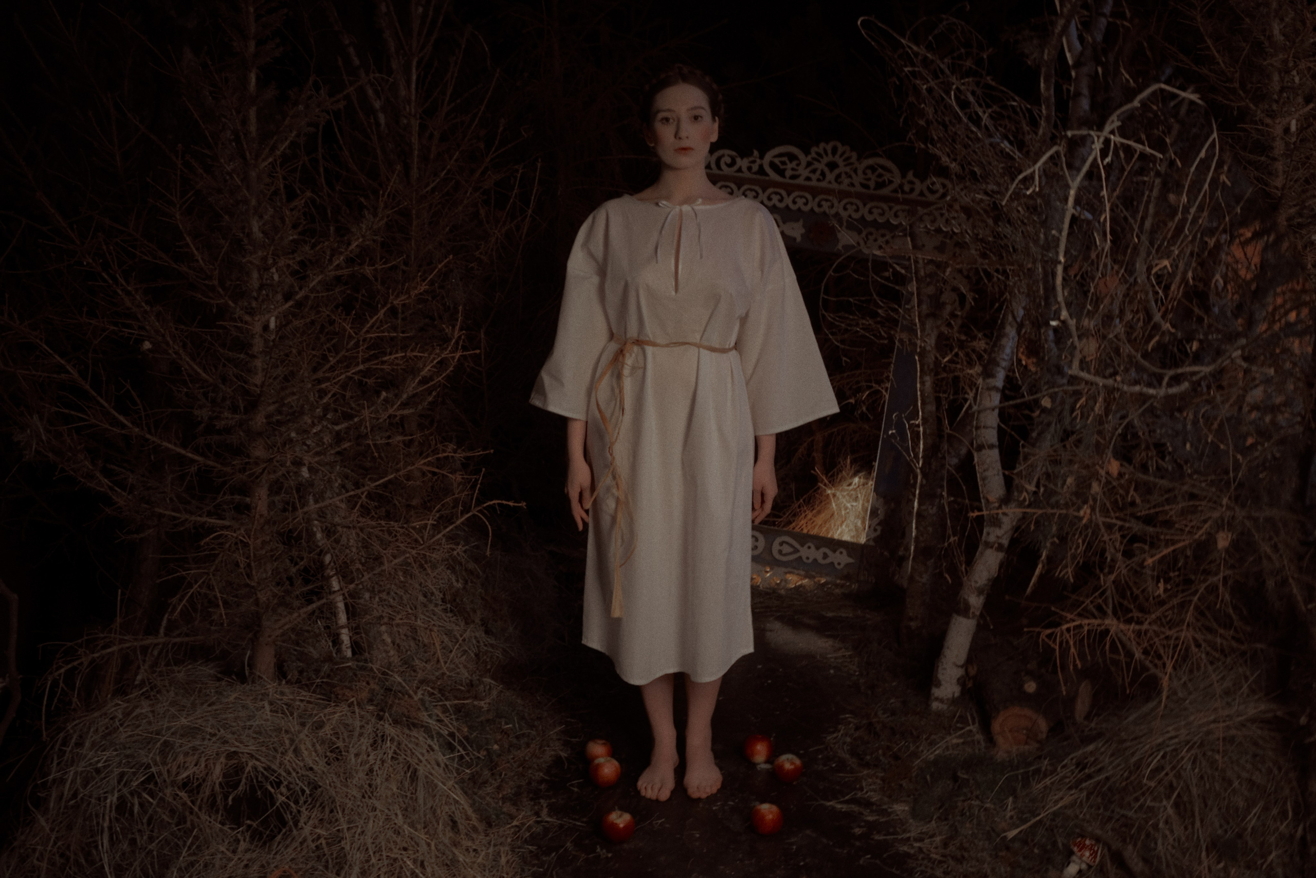 Гуси Лебеди. Фотограф Настя Лев