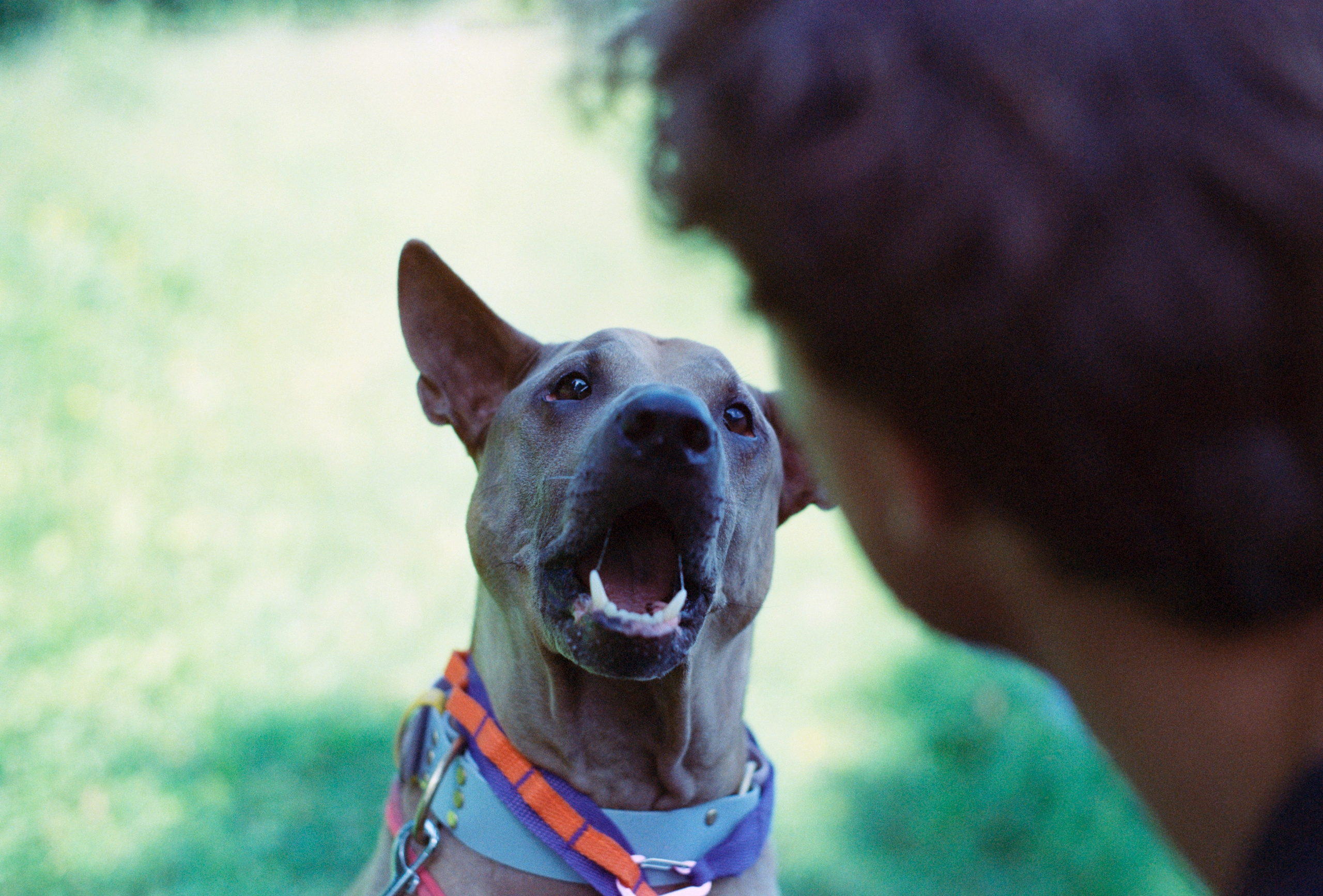 VOX. Стилист и плёночный фотограф Анастасия Шлокова в Санкт-Петербурге и Москве