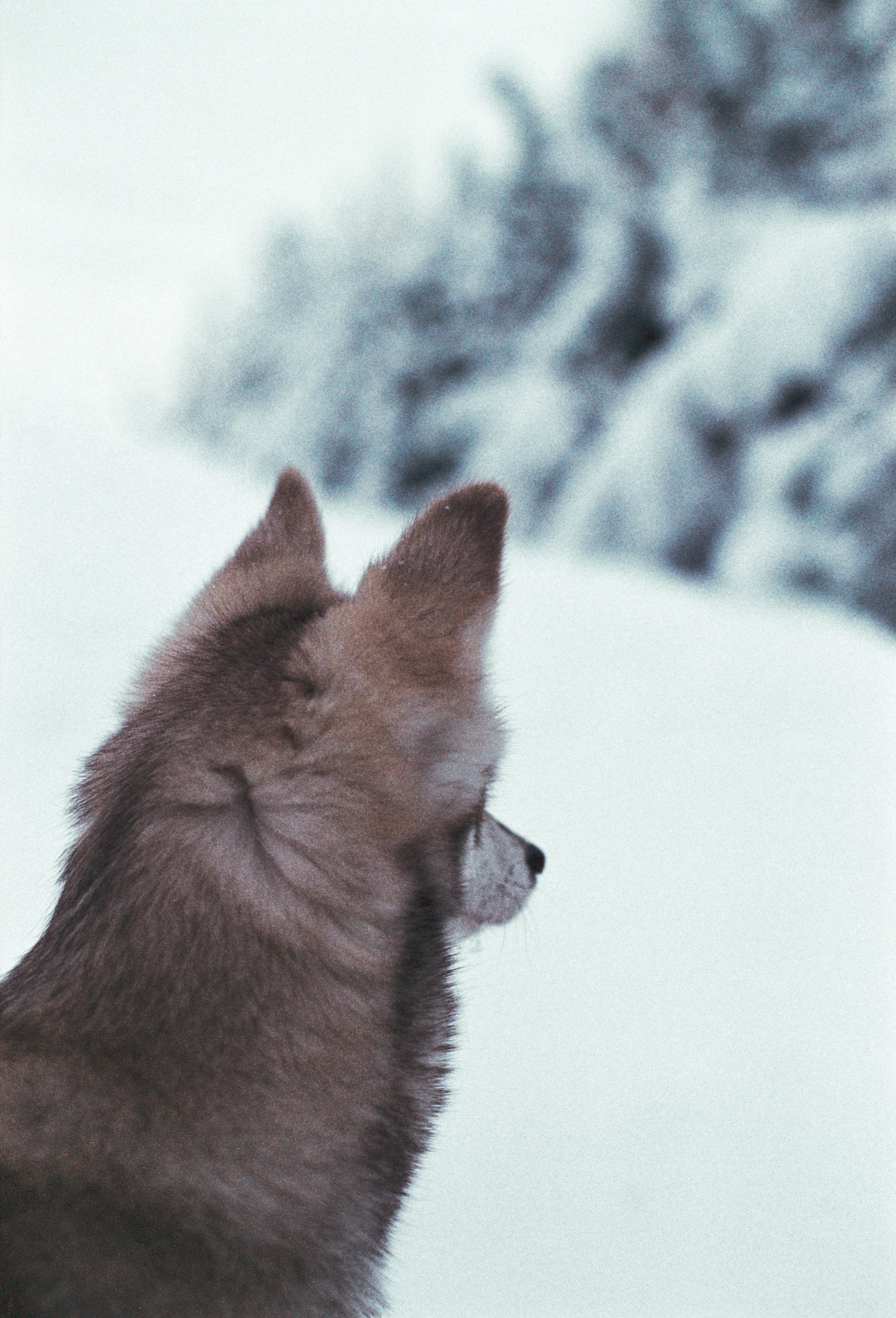 V2. Stylist and film photographer Anastasia Shlokova