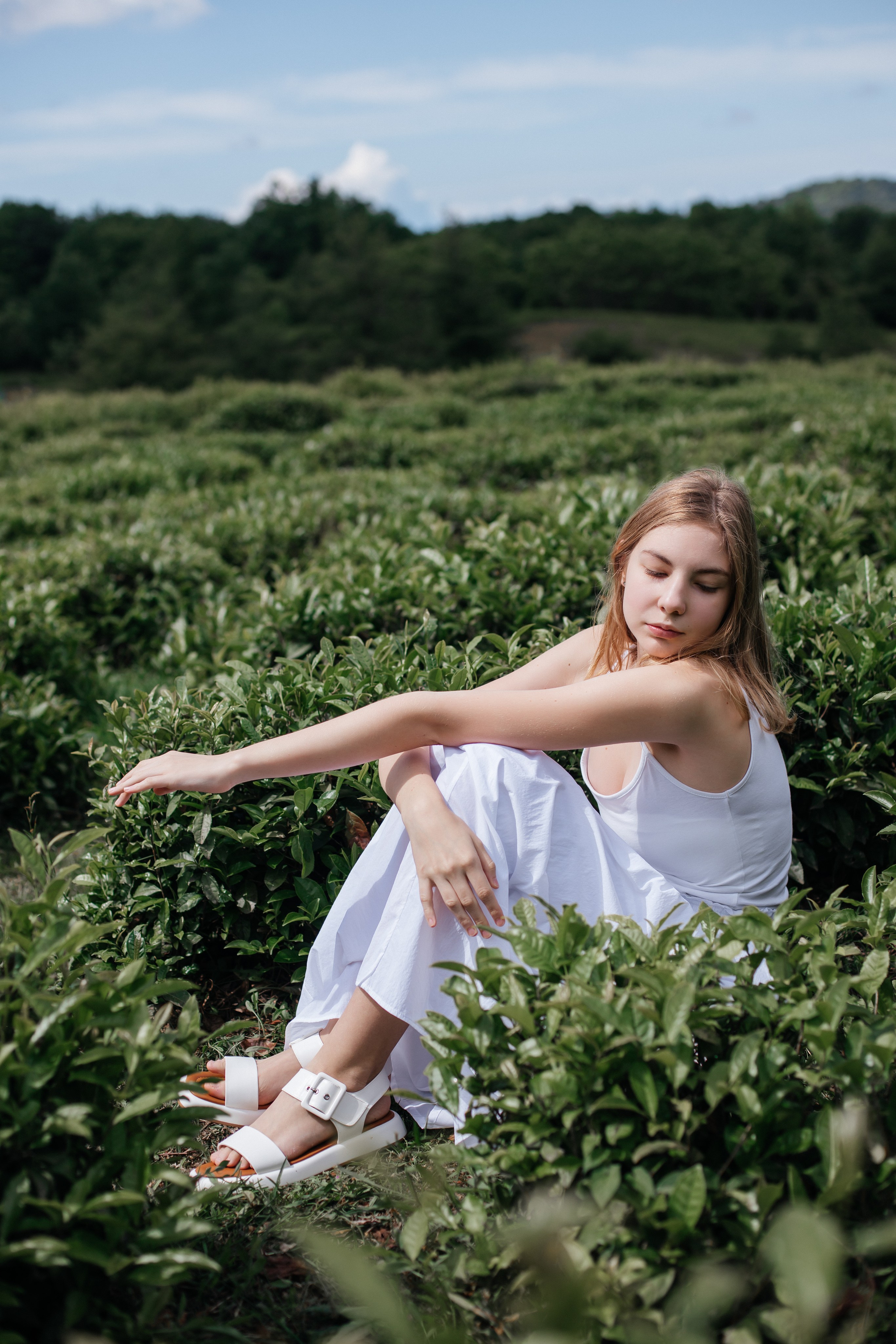 Tea plantation. Efimova Model Agency