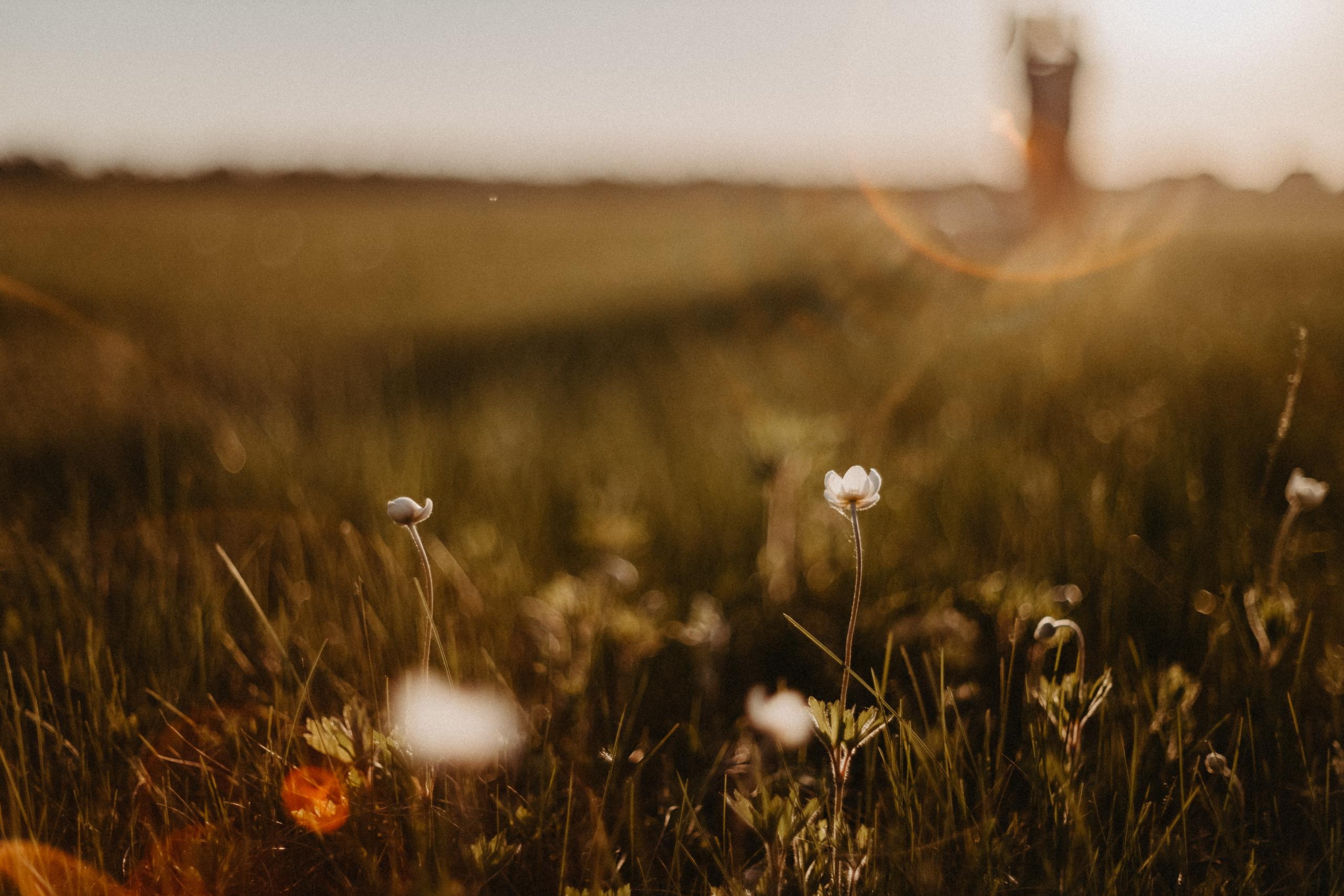Лавстори фотосессия в доме на колесах на автофургоне или автокемпере в. Свадебный фотограф-видеограф в Красноярске Евгений Константинопольский