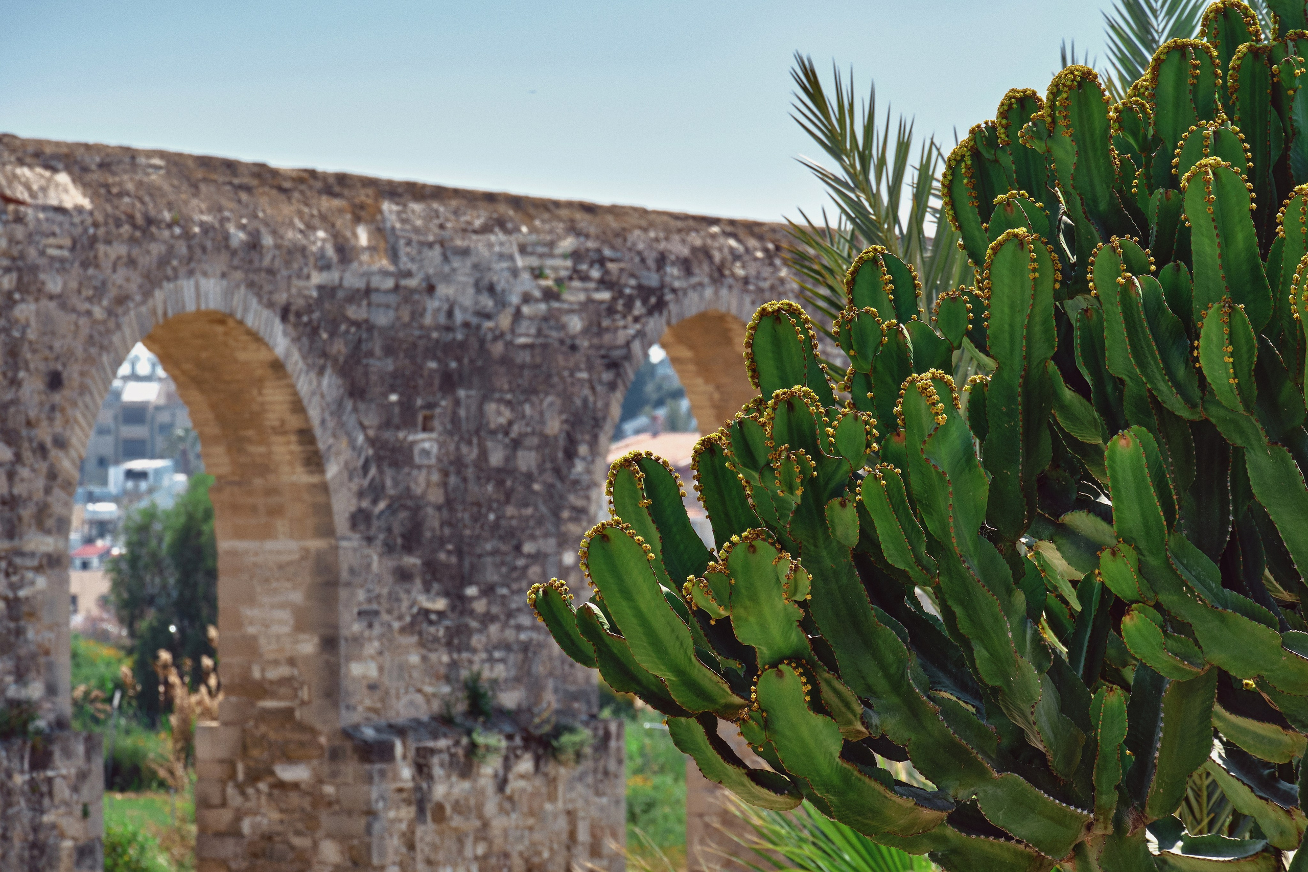 Cyprus / 2023. Aleksandr Kobtsev