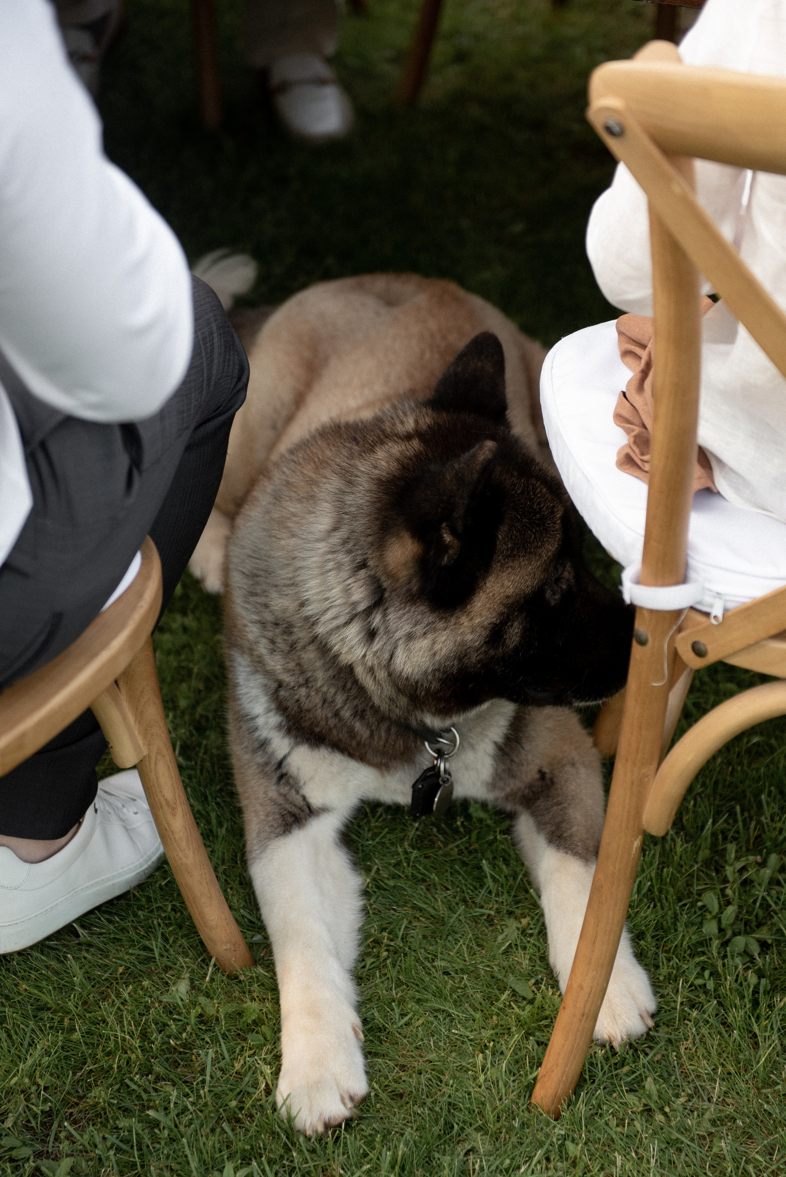 Анна и Дэвид. Свадебный и семейный фотограф Ракитин Илья