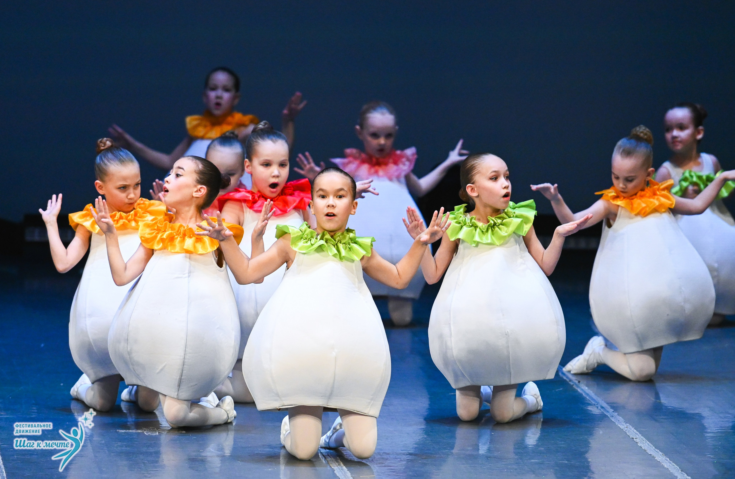 12.12.2025 Фестивальное движение «Шаг к мечте» г. Йошкар-Ола. Медиастудия Фото Концепт