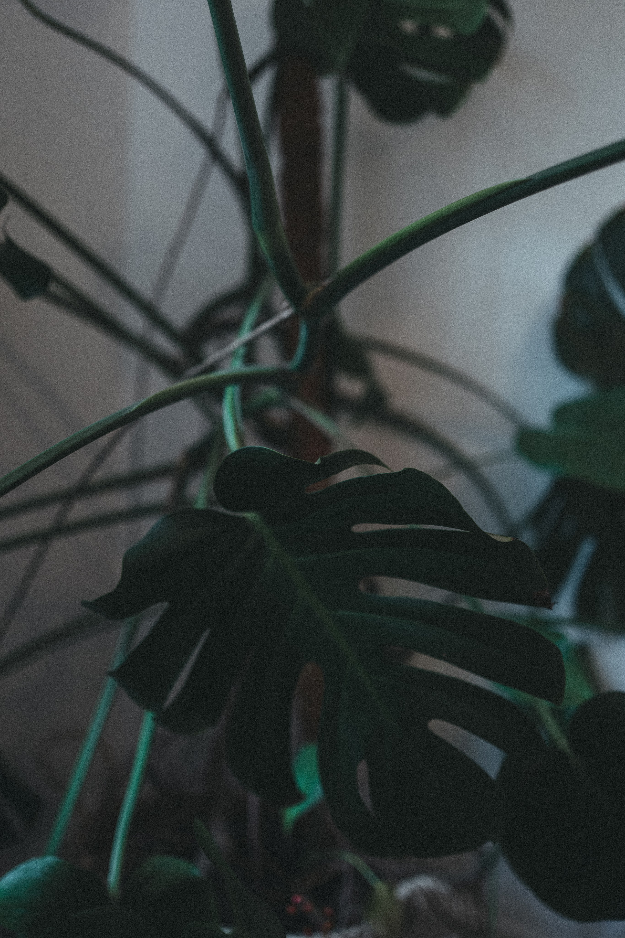 Saint Petersburg/2023. <3