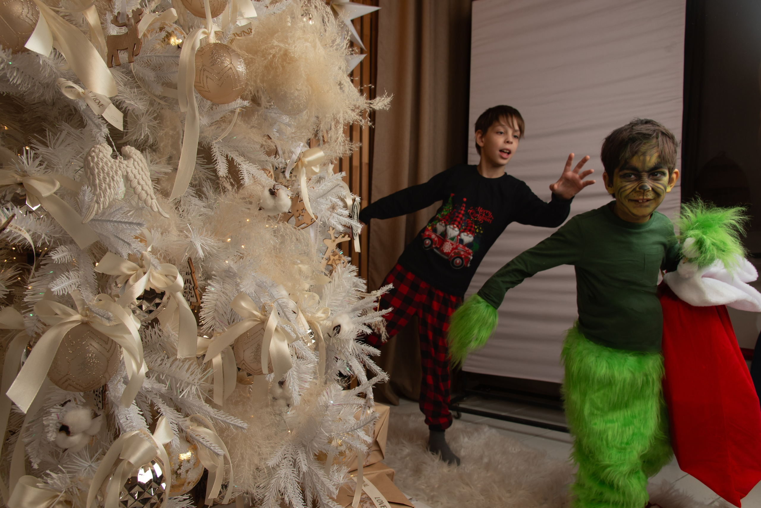 Новый Год. Гринч. Портретный Семейный Fine-Art фотограф в Санкт-Петербурге Криулина