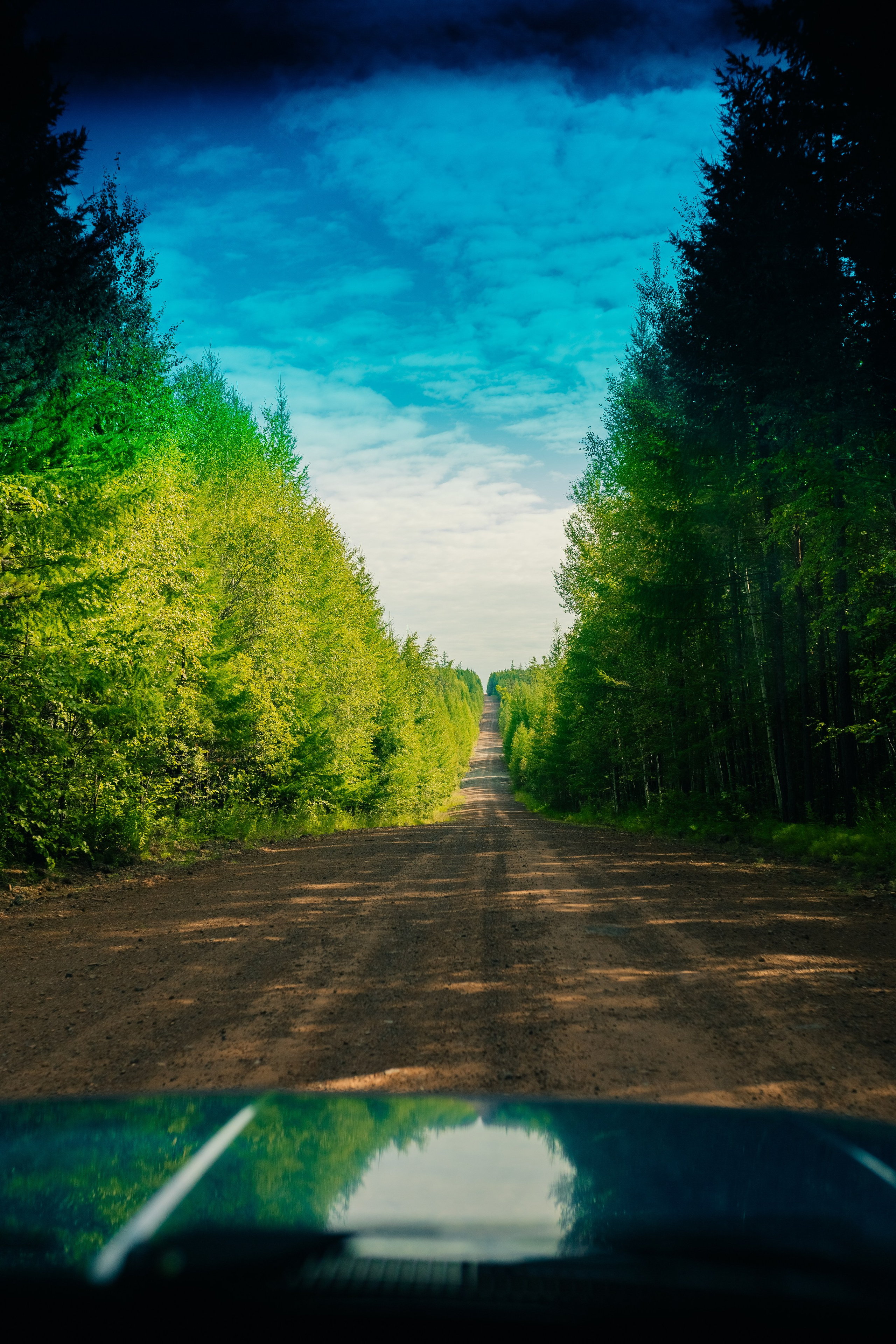 Happiness is in the moments