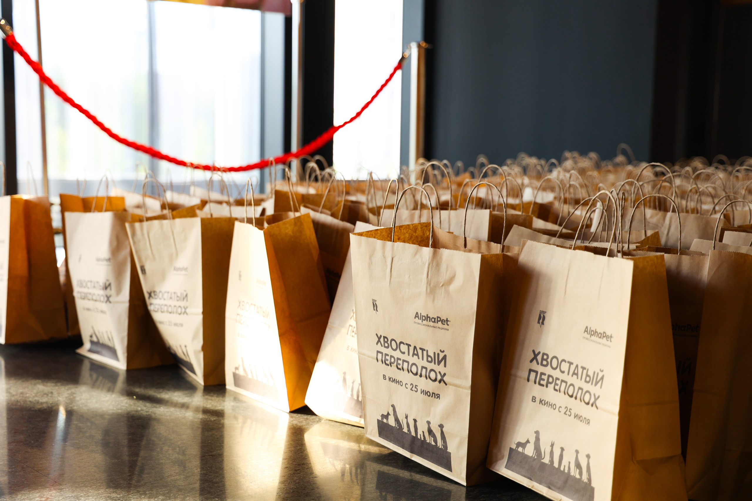 Премьера фильма «Хвостатый переполох». Свадебный и Event фотограф в Москве Бажина Ирина