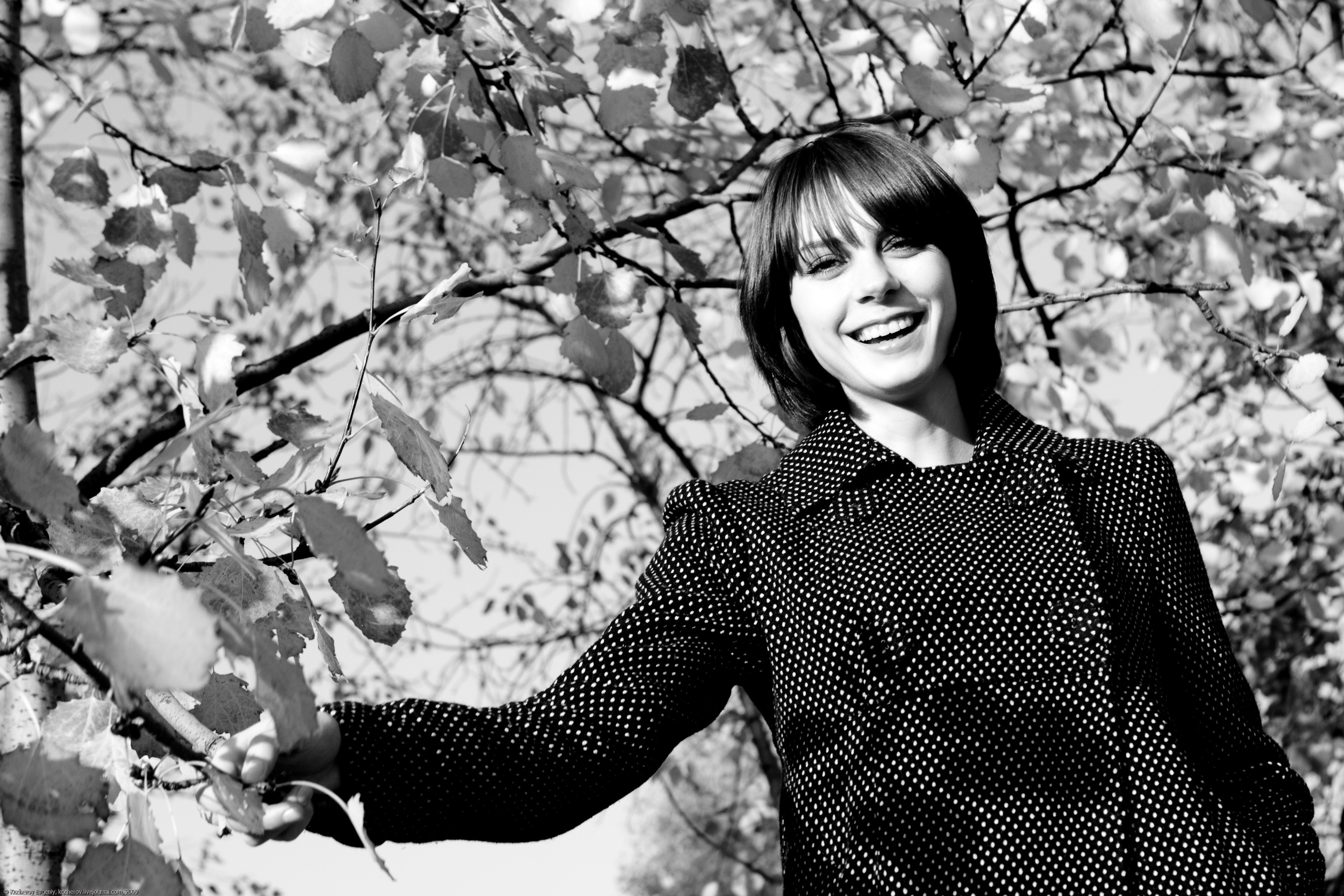 Настя со скрипкой. Кучеров Евгений. Фотограф