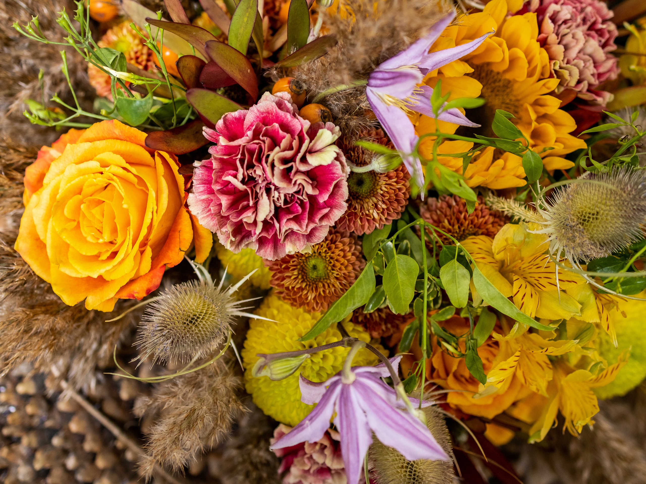 Цветы-Экспо 2024. Фотосессии и репортаж — Фотограф в Москве — Рина Серёгина