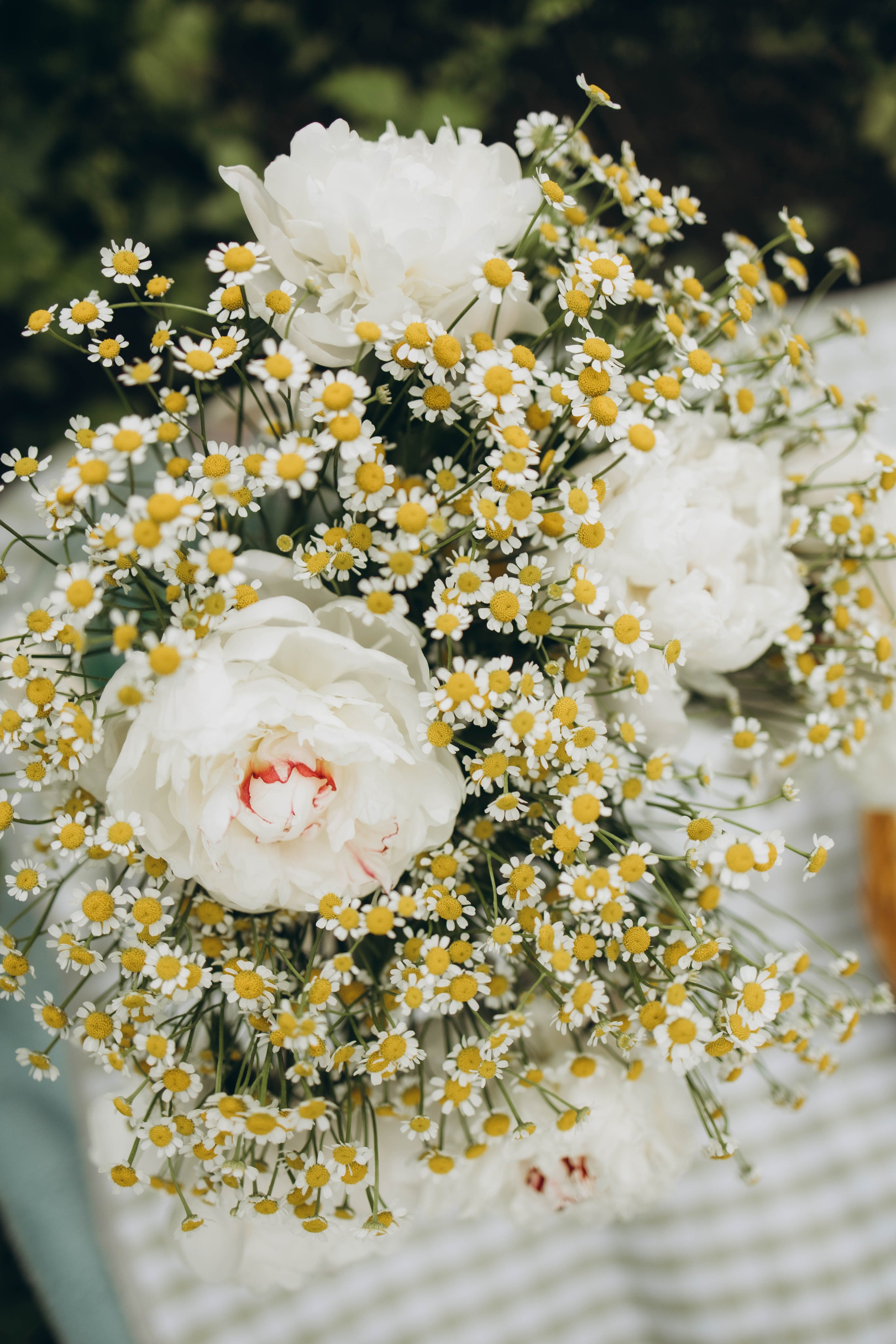 Миша, Дима, Лера и Миша. Семейный фотограф в Москве Виктория Ястребинская