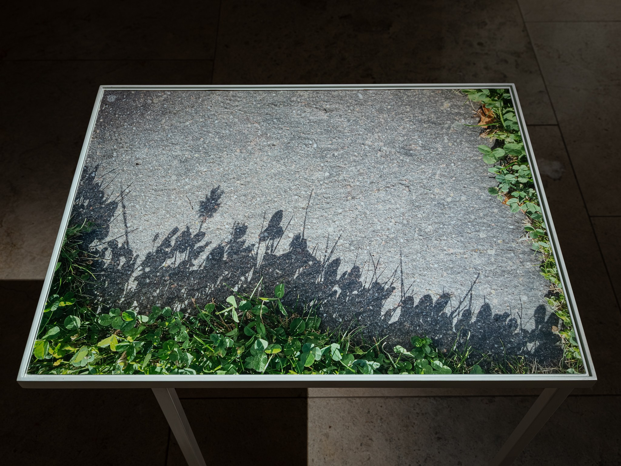 Выставка: «Ольга Чернышева. С листа» Музей AZ. Фотограф Василий Буланов