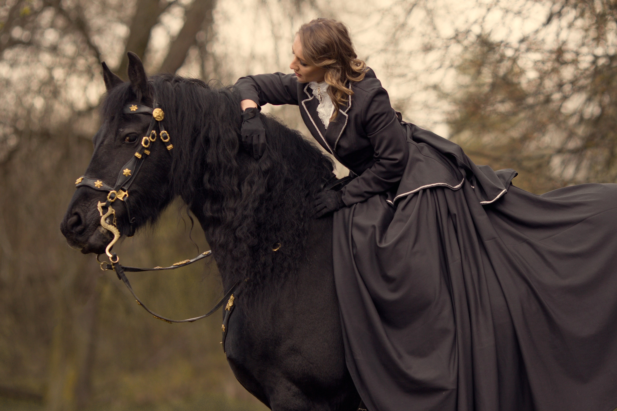 Фотосессия с черной лошадью