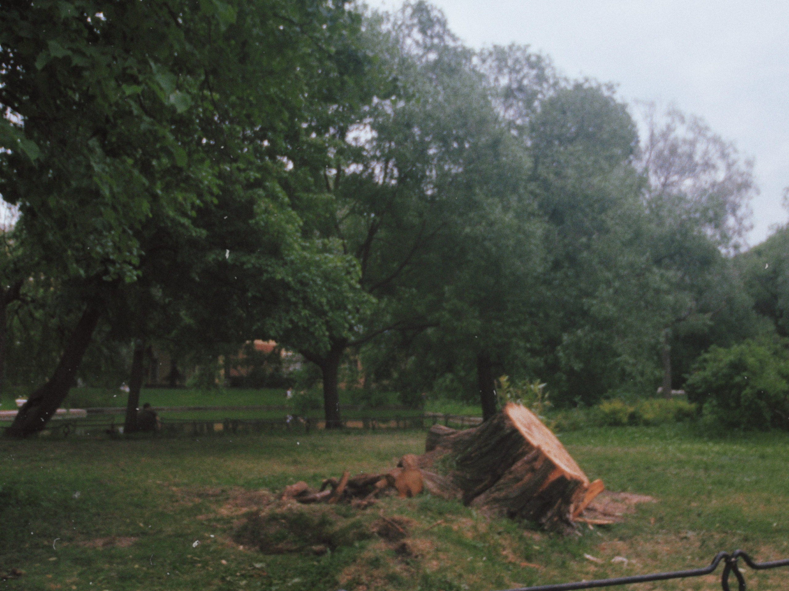 Olimpus mju 1030sw. Анна Мильч