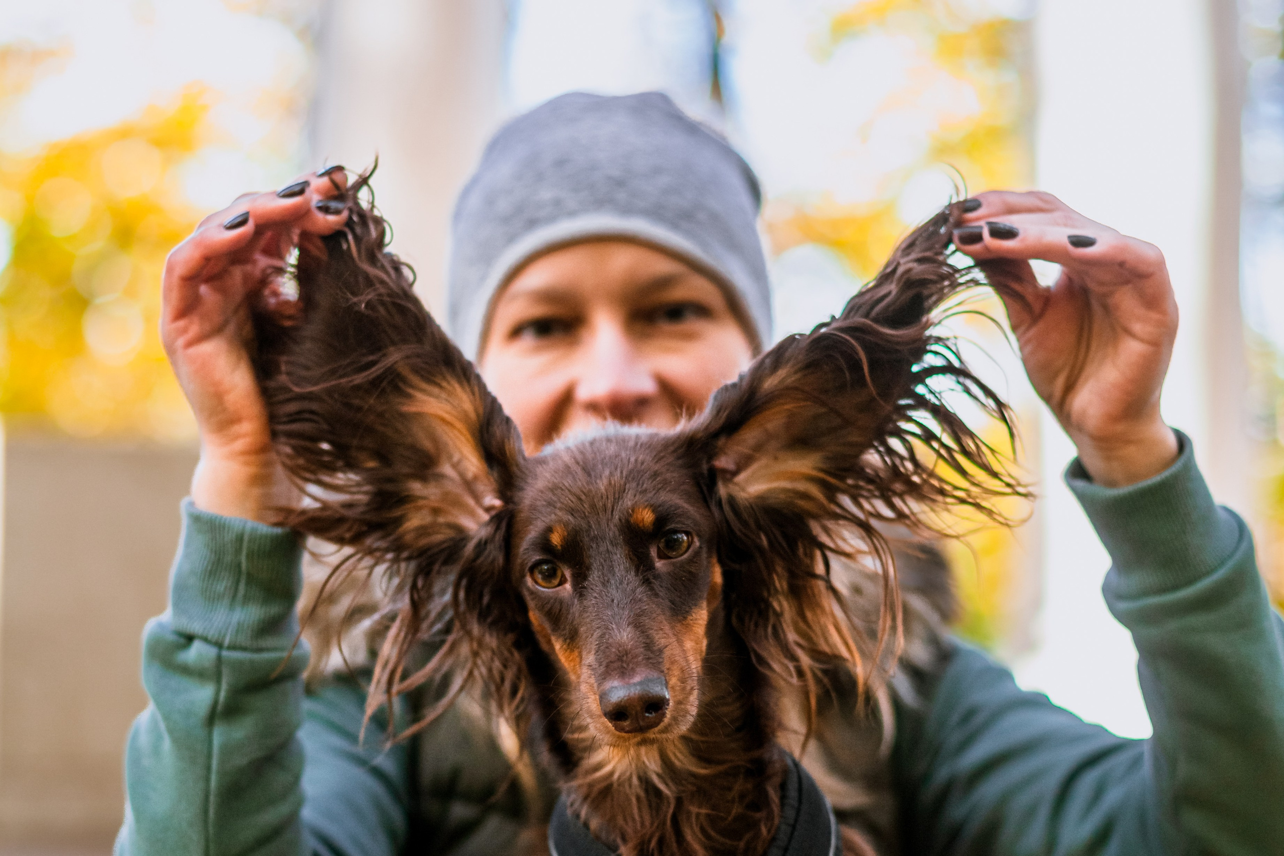 Света, Хайди, Богдана. Фотограф-анималист Татьяна Степанова
