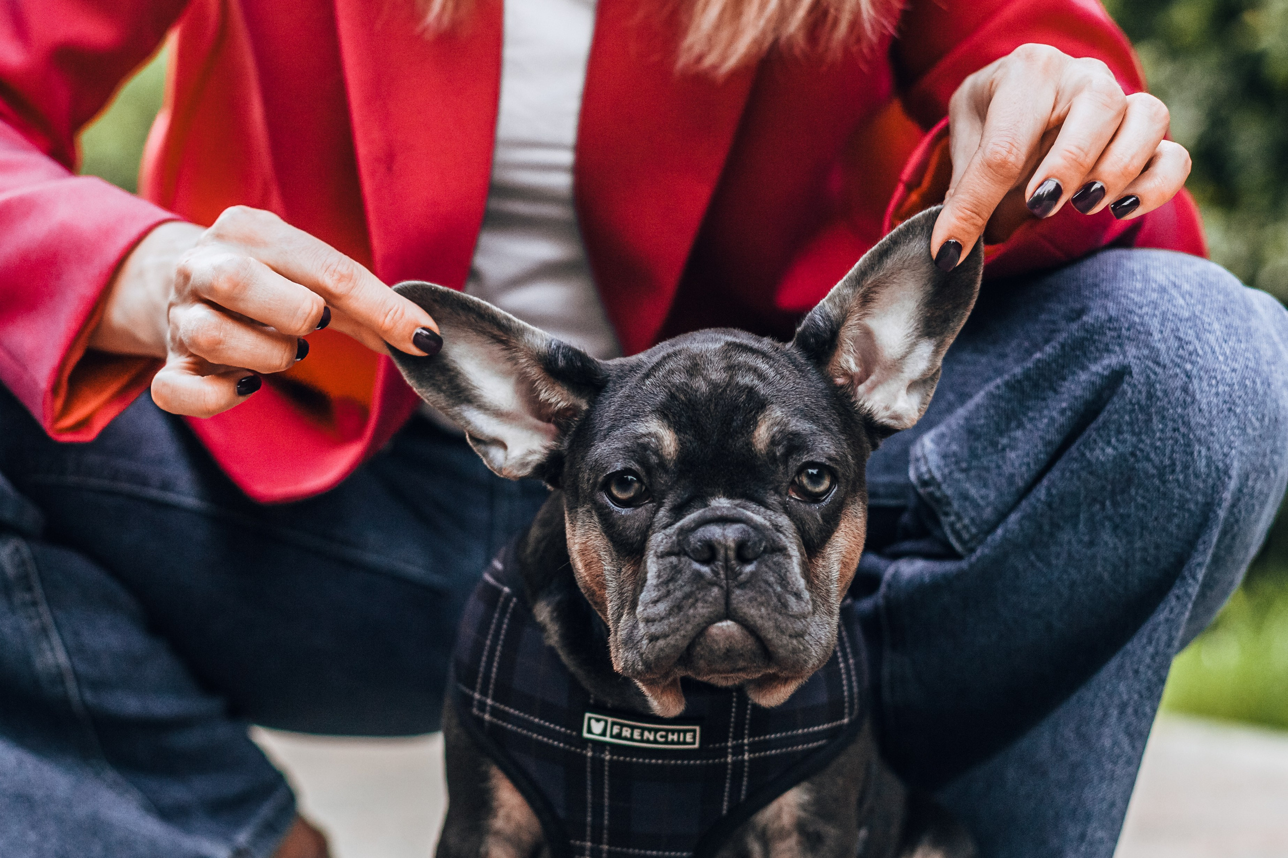 Даша и Мишель. Фотограф-анималист Татьяна Степанова