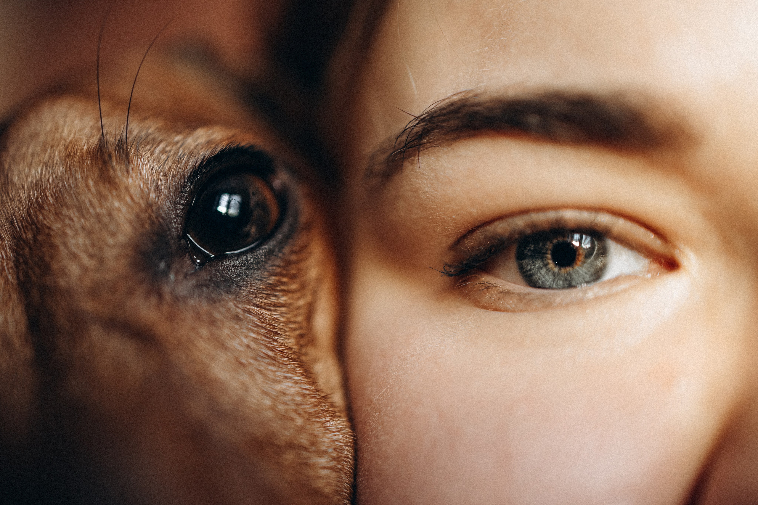 Маша и ее семья. Фотораф — анималист Мария Шистка