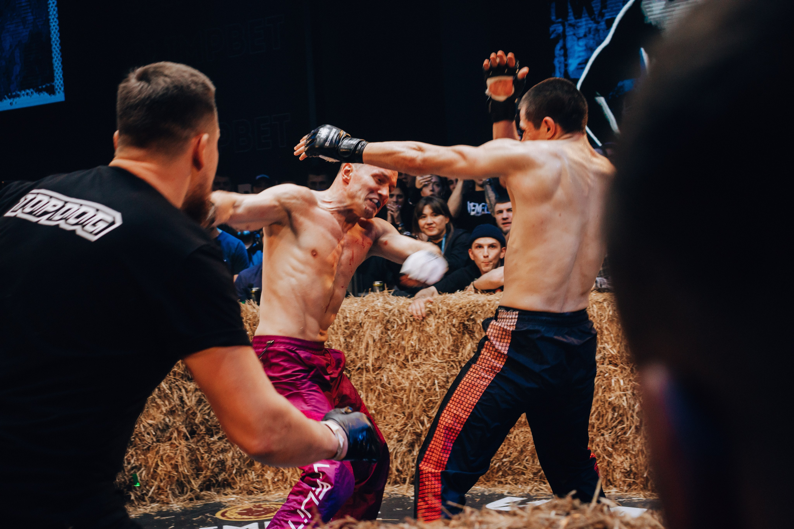 Кулачные бои TopDog. Анастасия Тен