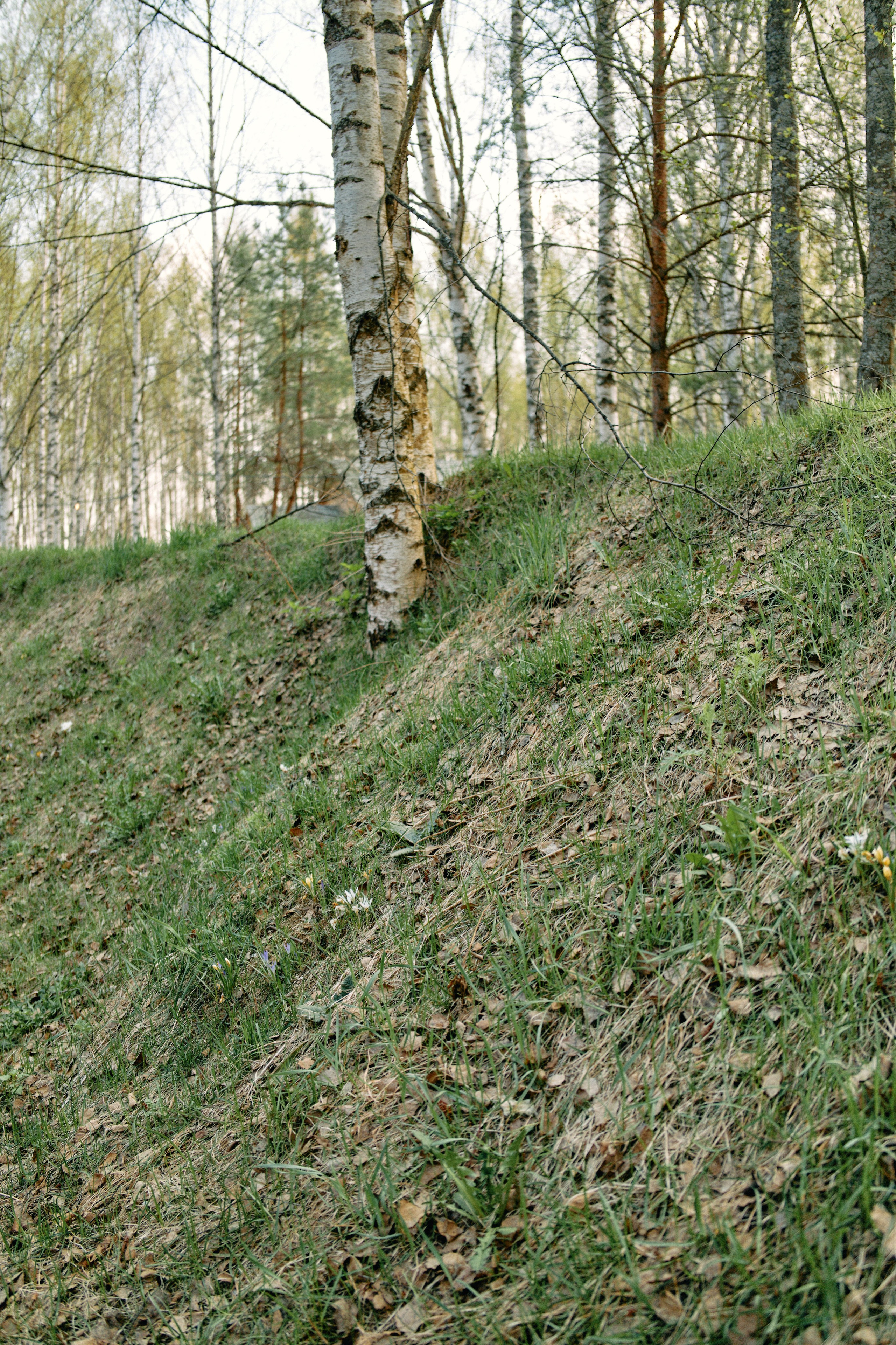 Бутик-отель Поле летом. Профессиональный Фотограф во Владимире, в Москве и в Суздале — Полина Романычева