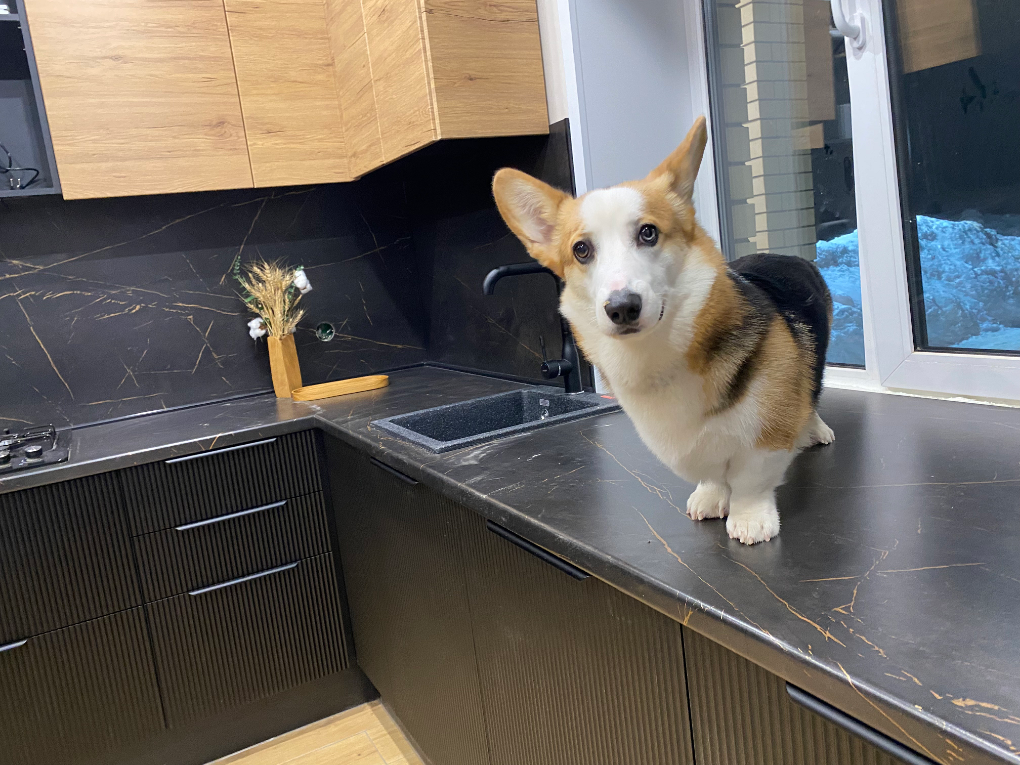 Кухни на заказ. WOODDIST | Мебель, которая становится предметом гордости!