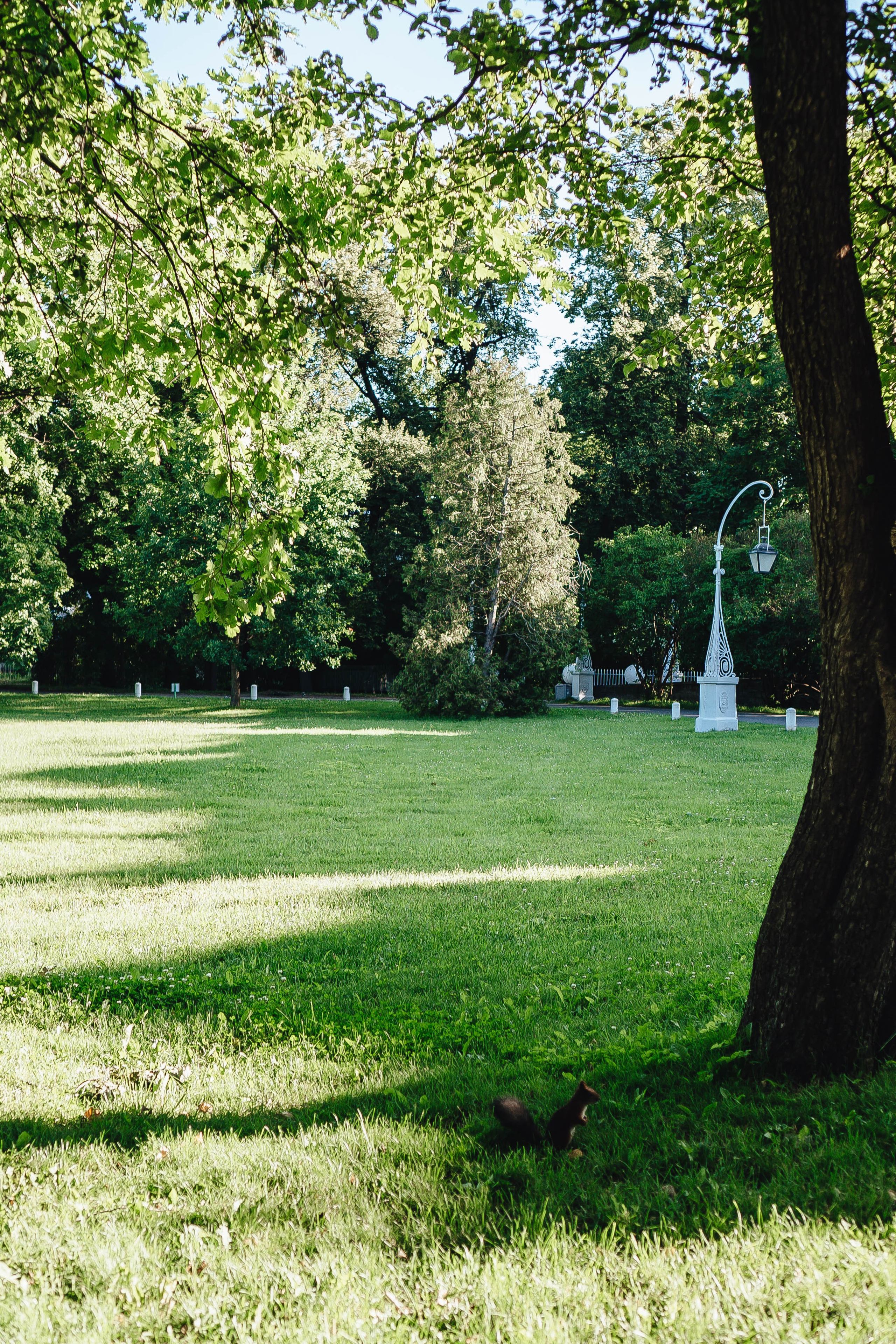 СВАДЕБНАЯ СЬЕМКА НА РАССВЕТЕ НА ЕЛАГИНОМ ОСТОРОВЕ. Профессиональный фотограф, Санкт-Петербург — Виктория Богомолова