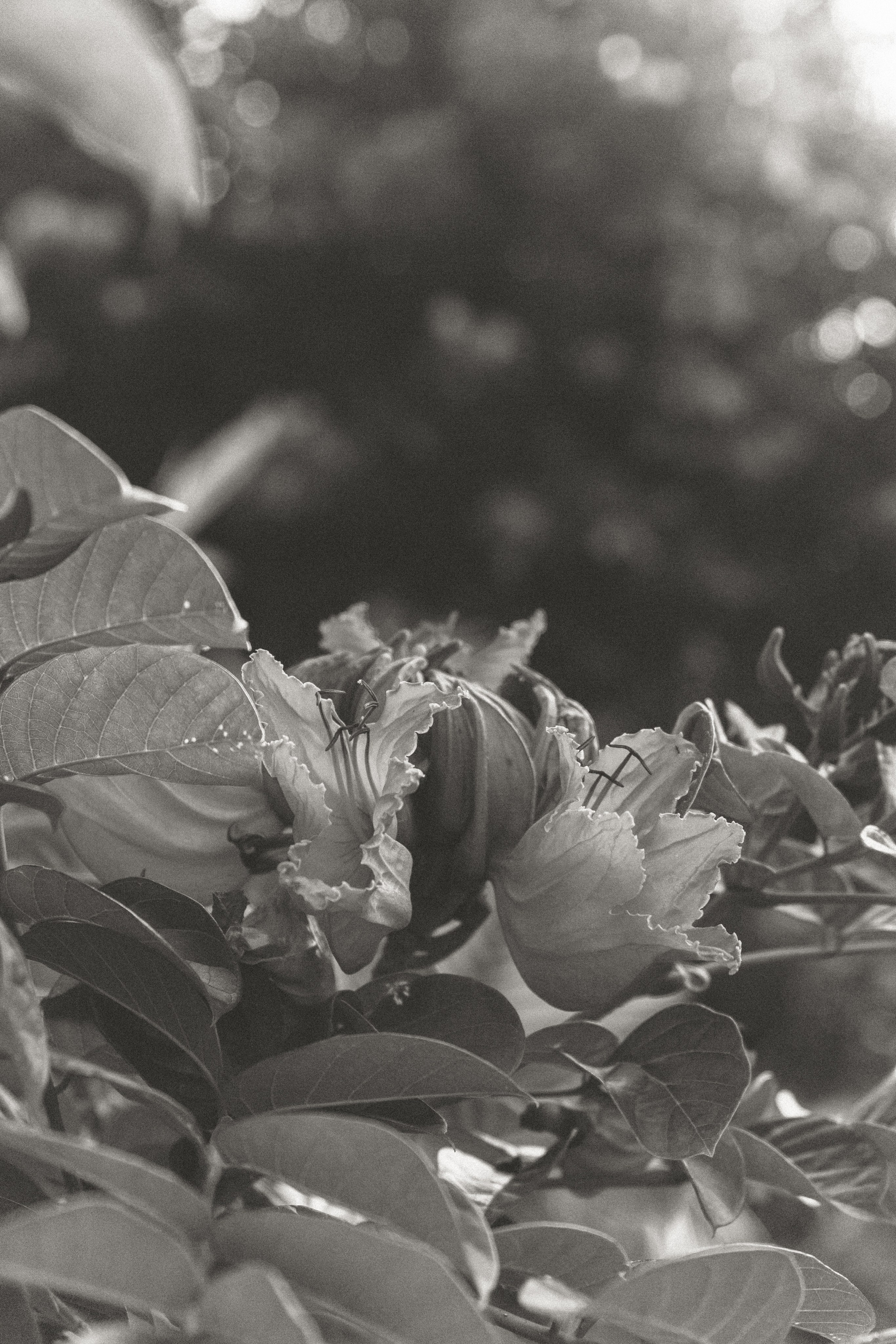 Calme. Фотограф