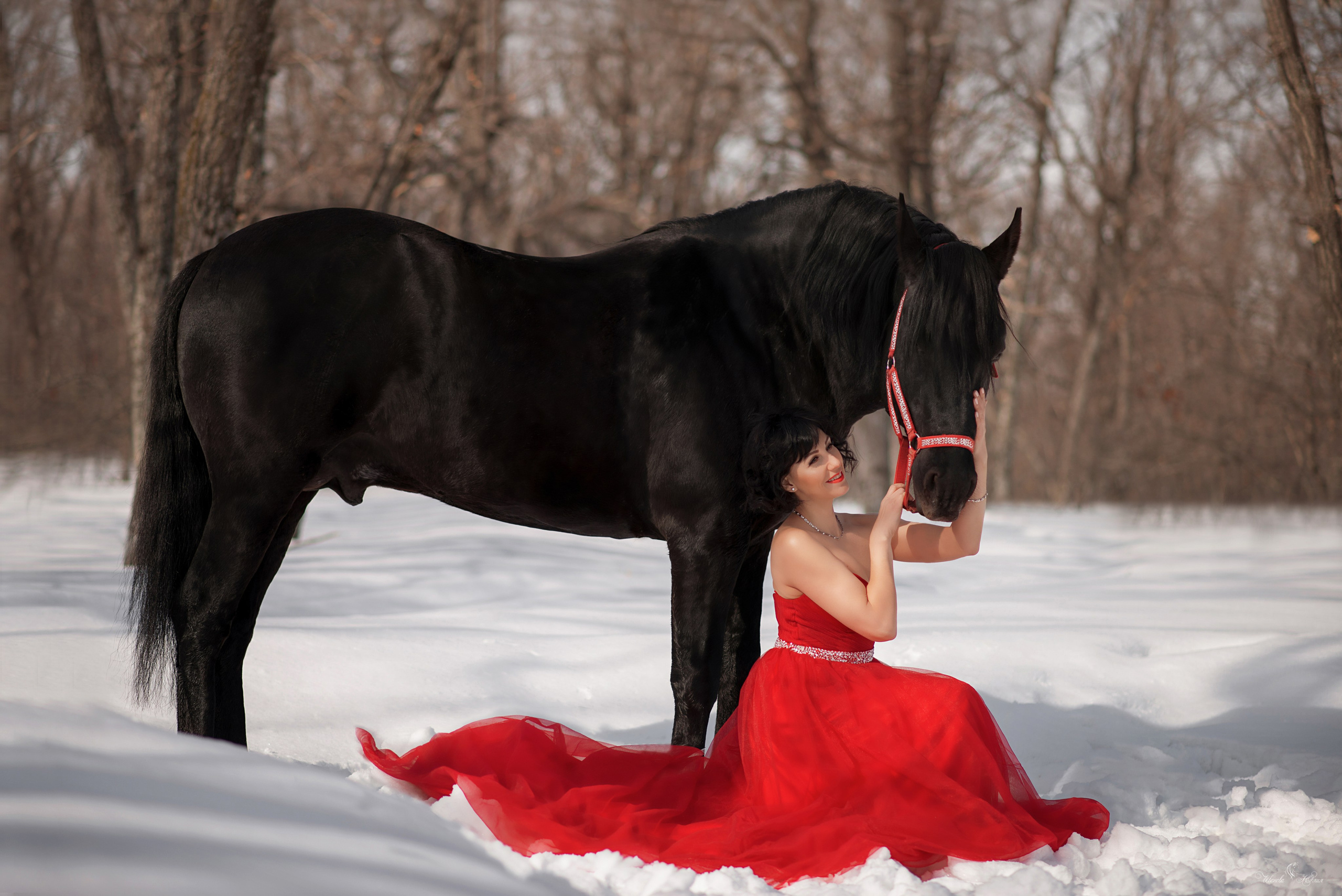 Оксана и Пират. Конный фотограф в Саратове Юлия Иванова