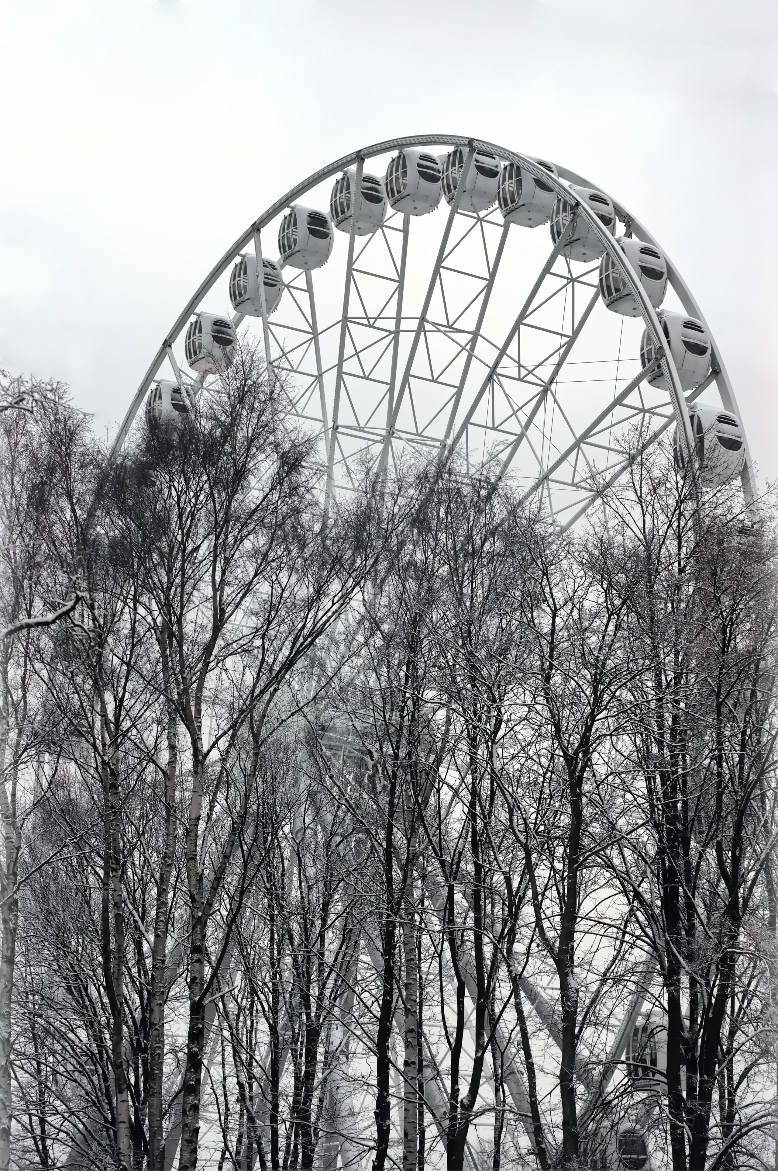 крестовский остров. аттракционы.колесо обозрения.берёзы.осень.тишина