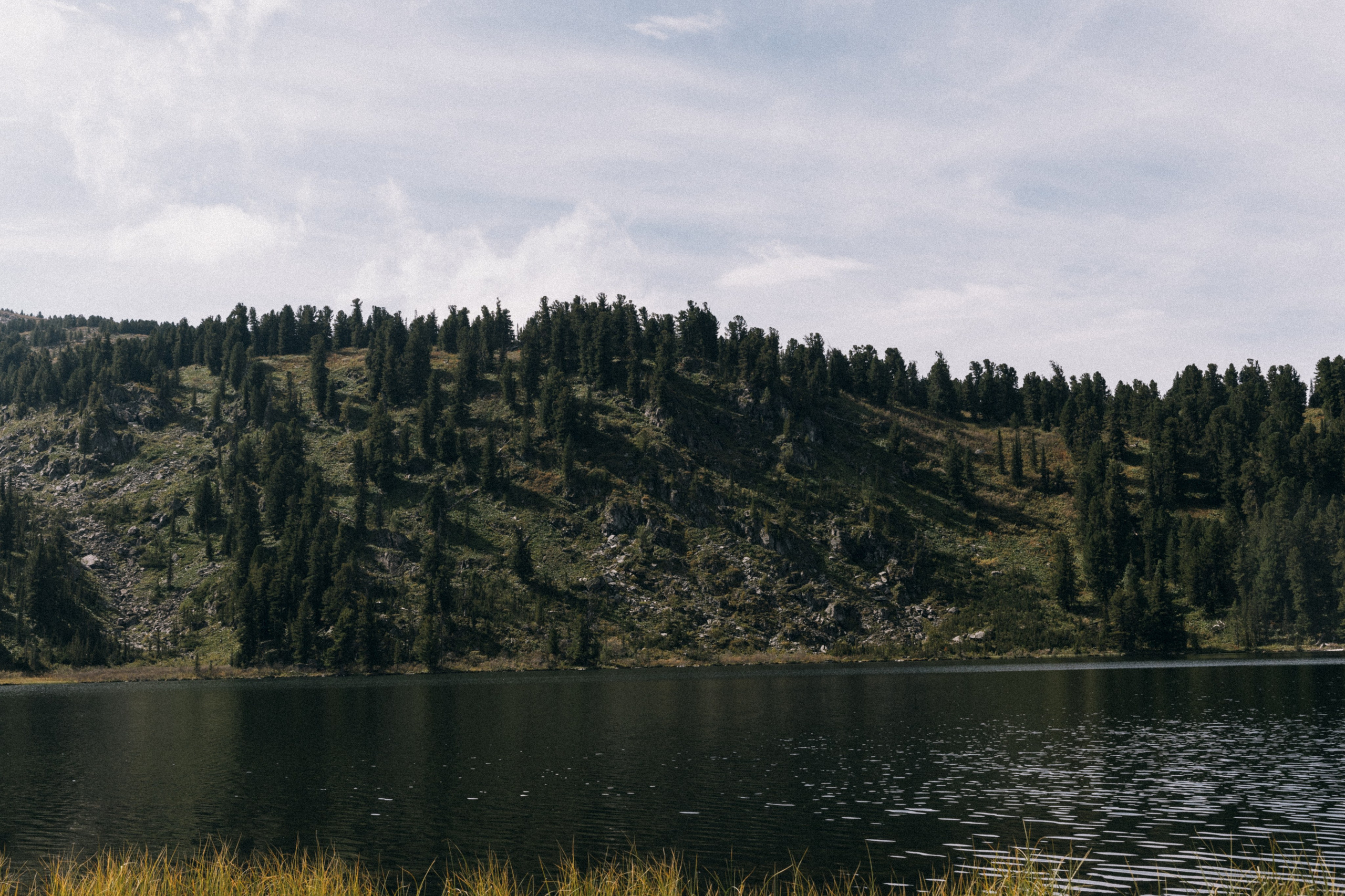 Алтай, природа и эстетика. Александр Чернин. Семейный и событийный фотограф