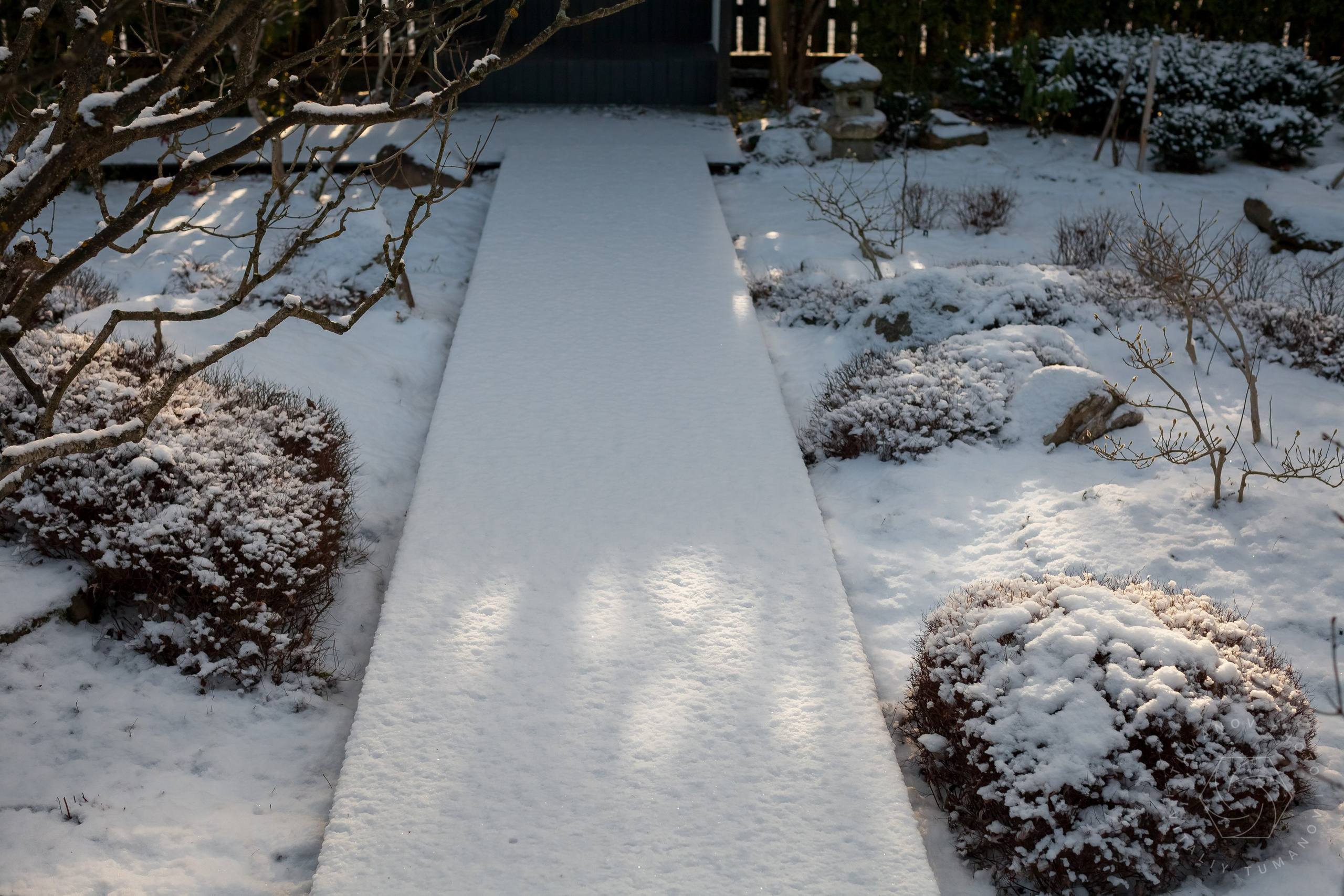 ОДНИМ СОЛНЕЧНЫМ ЗИМНИМ ДНЁМ!. Виталий Туманов — Ландшафтный фотограф