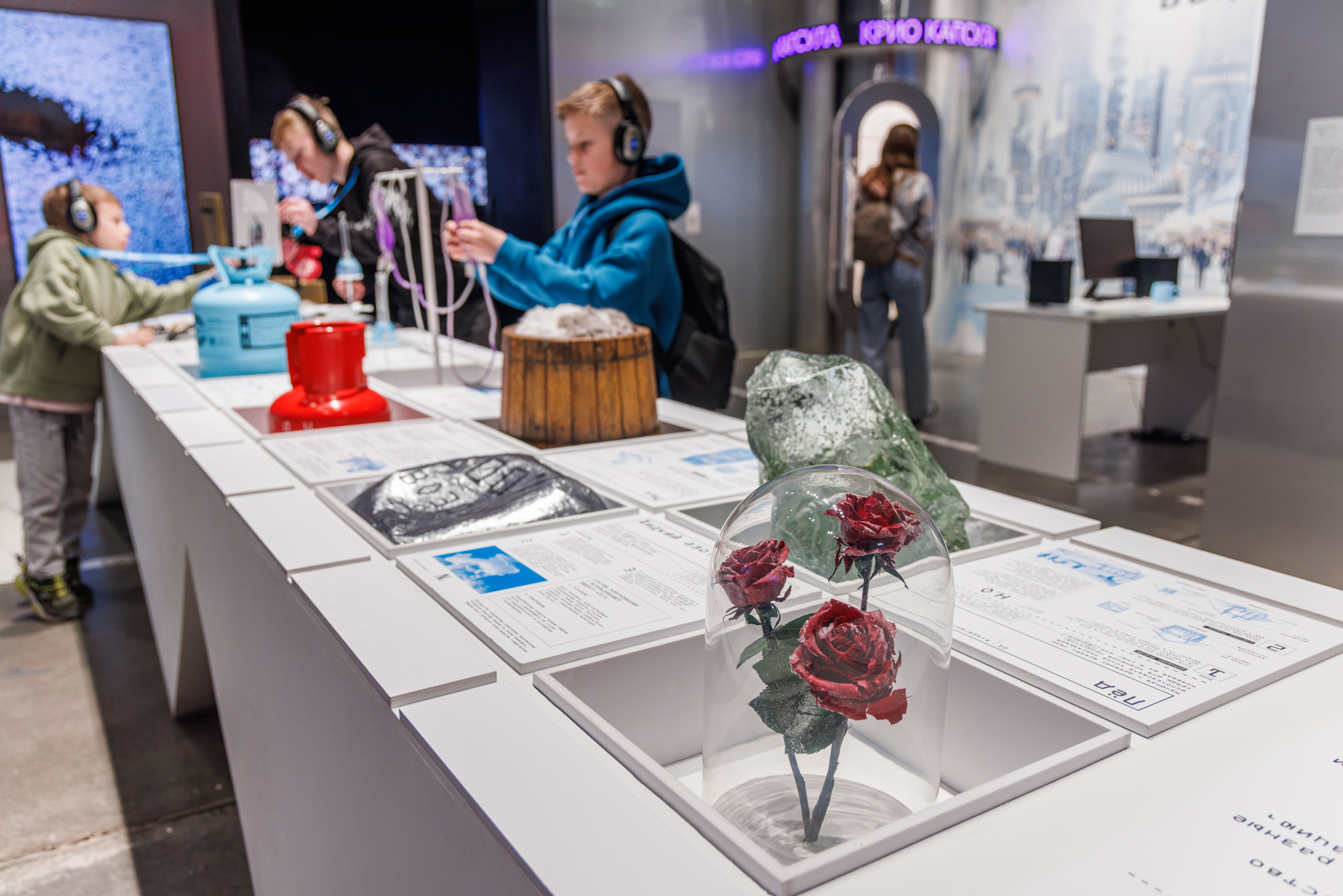 Лед. Жизнь — познавательно-развлекательная выставка. Фотограф Балаев Михаил