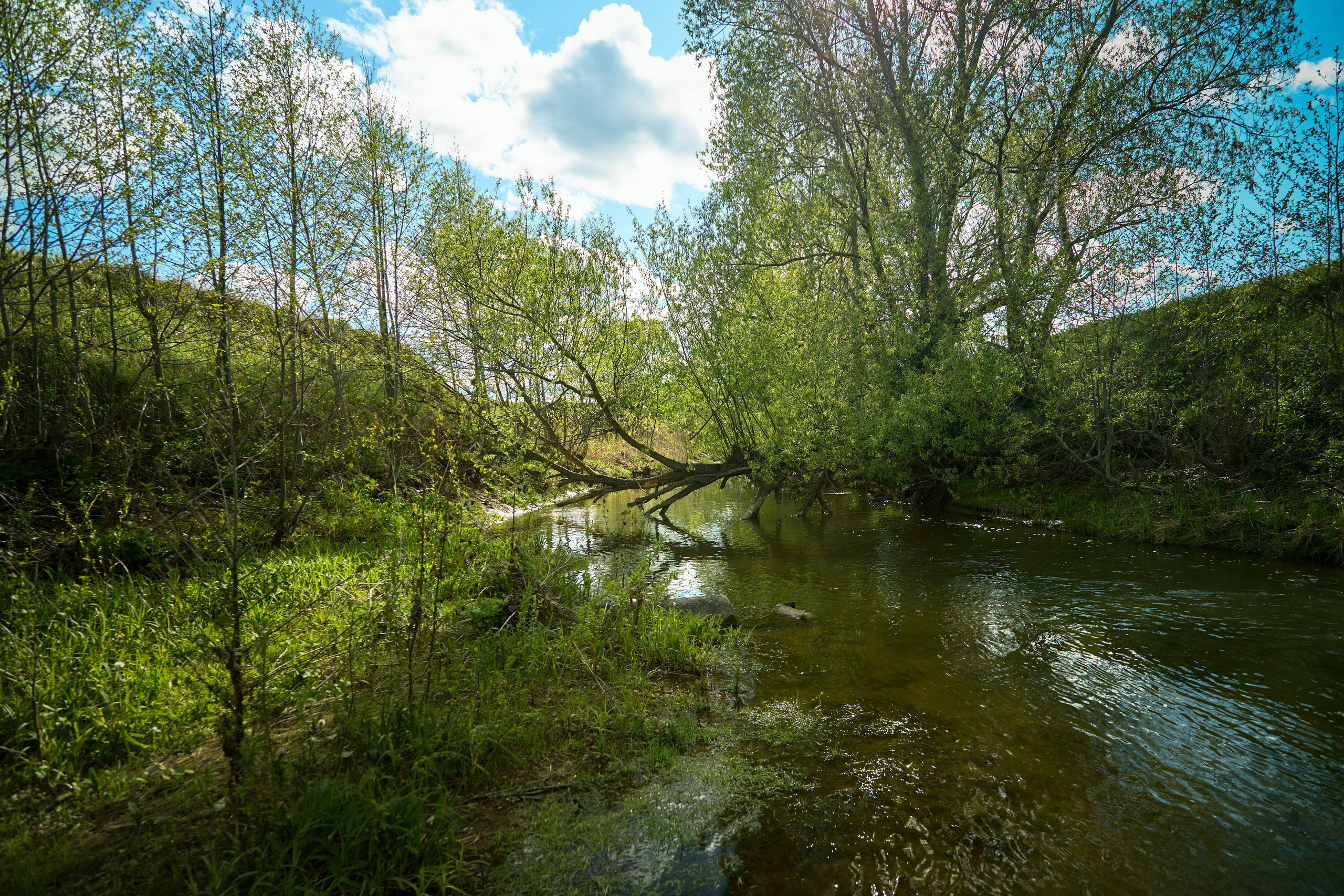 Пейзажная фотосъемка. Владимир Суздалов (ProMaXe) — Портретный фотограф, тематические фотосессии в Чебоксарах