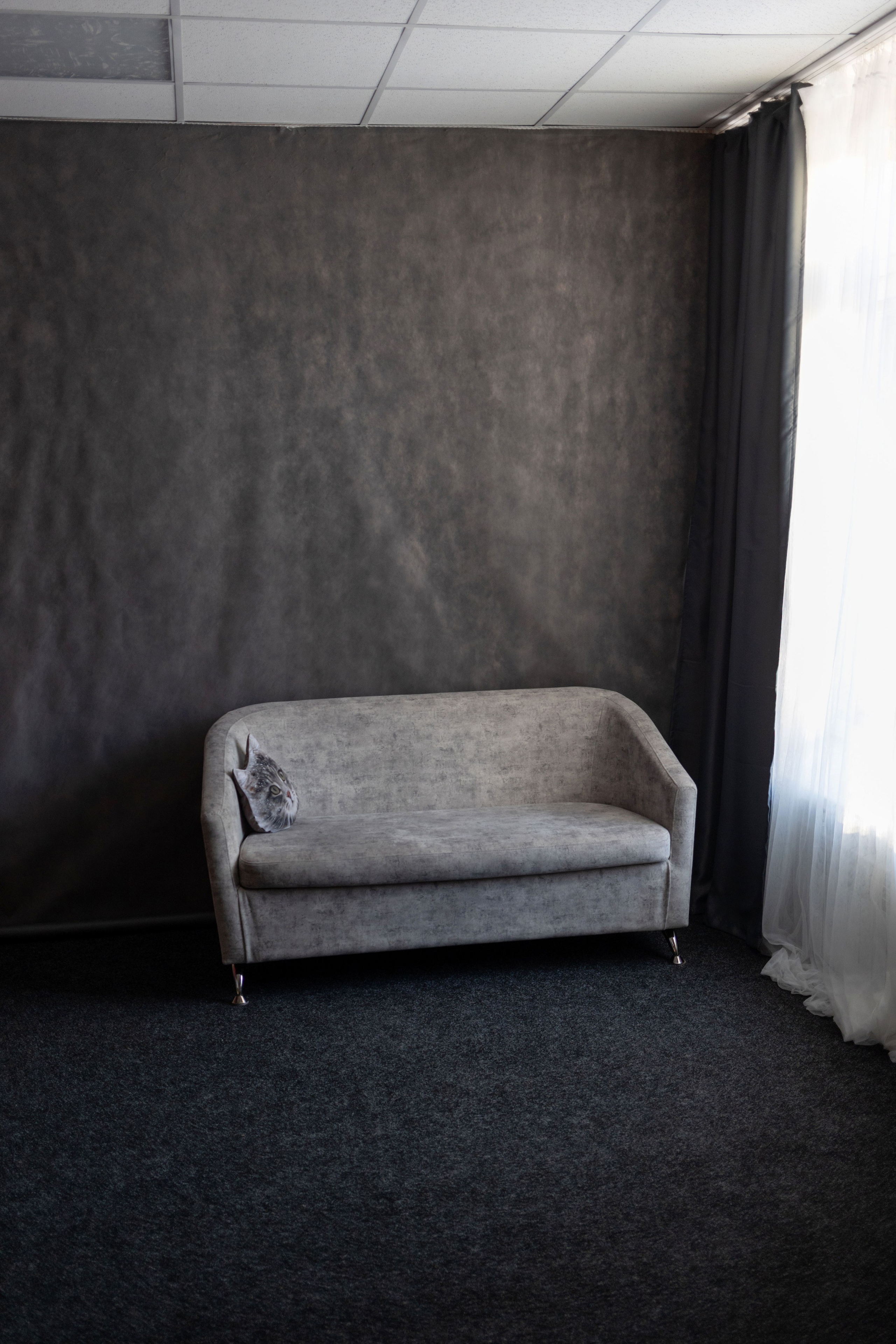 Интерьер фотостудии IRBIS. Фотограф Ирина Бобрешова. Коряжма