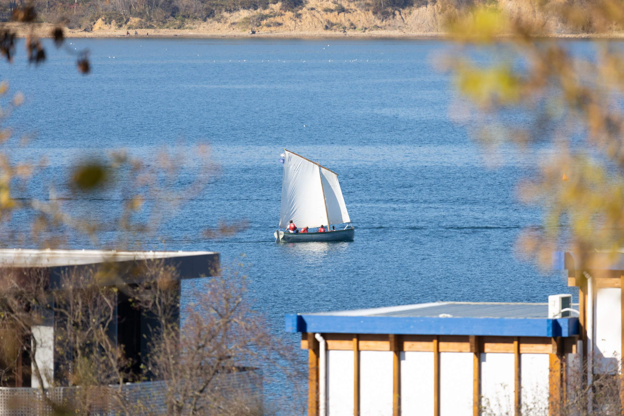Парусный спорт в бухте Аякс. Олег Катакинов| Репортажный фотограф в городе у моря (Владивосток)