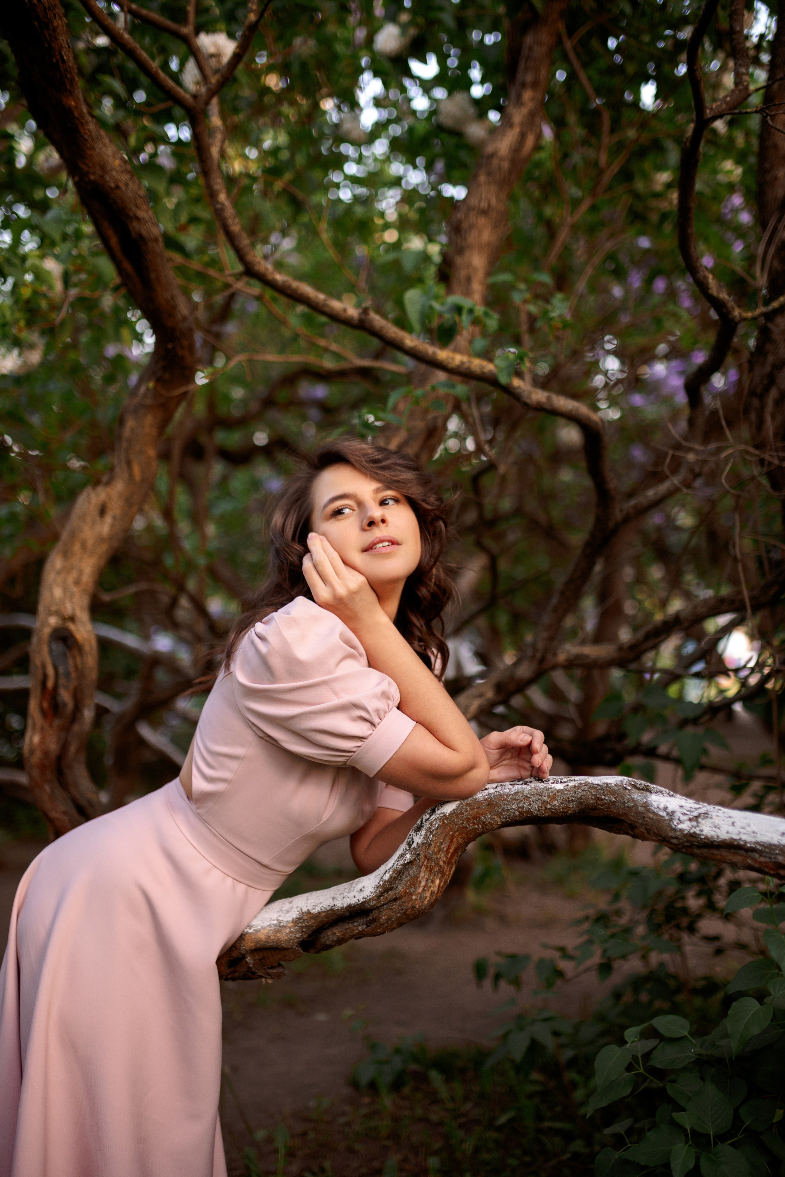 Цветение в сиреневом саду. Главная