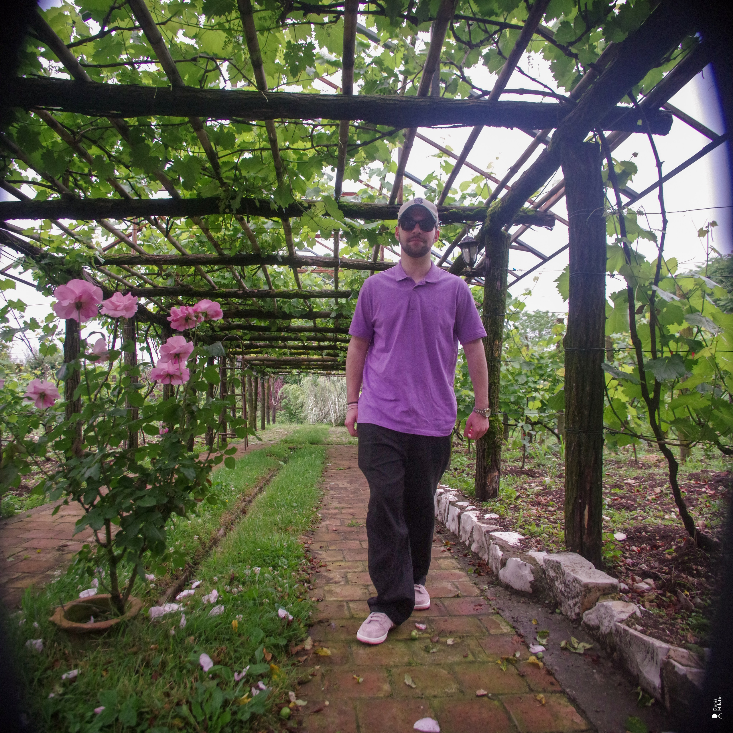 Хони. Портретный фотограф Денис Милютин