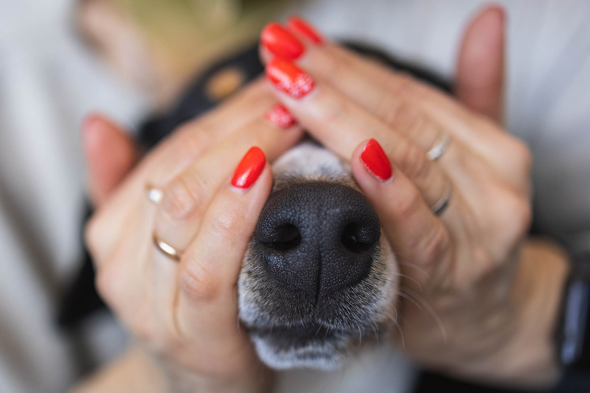 Кафе. Фотограф-анималист Александра Шеремет