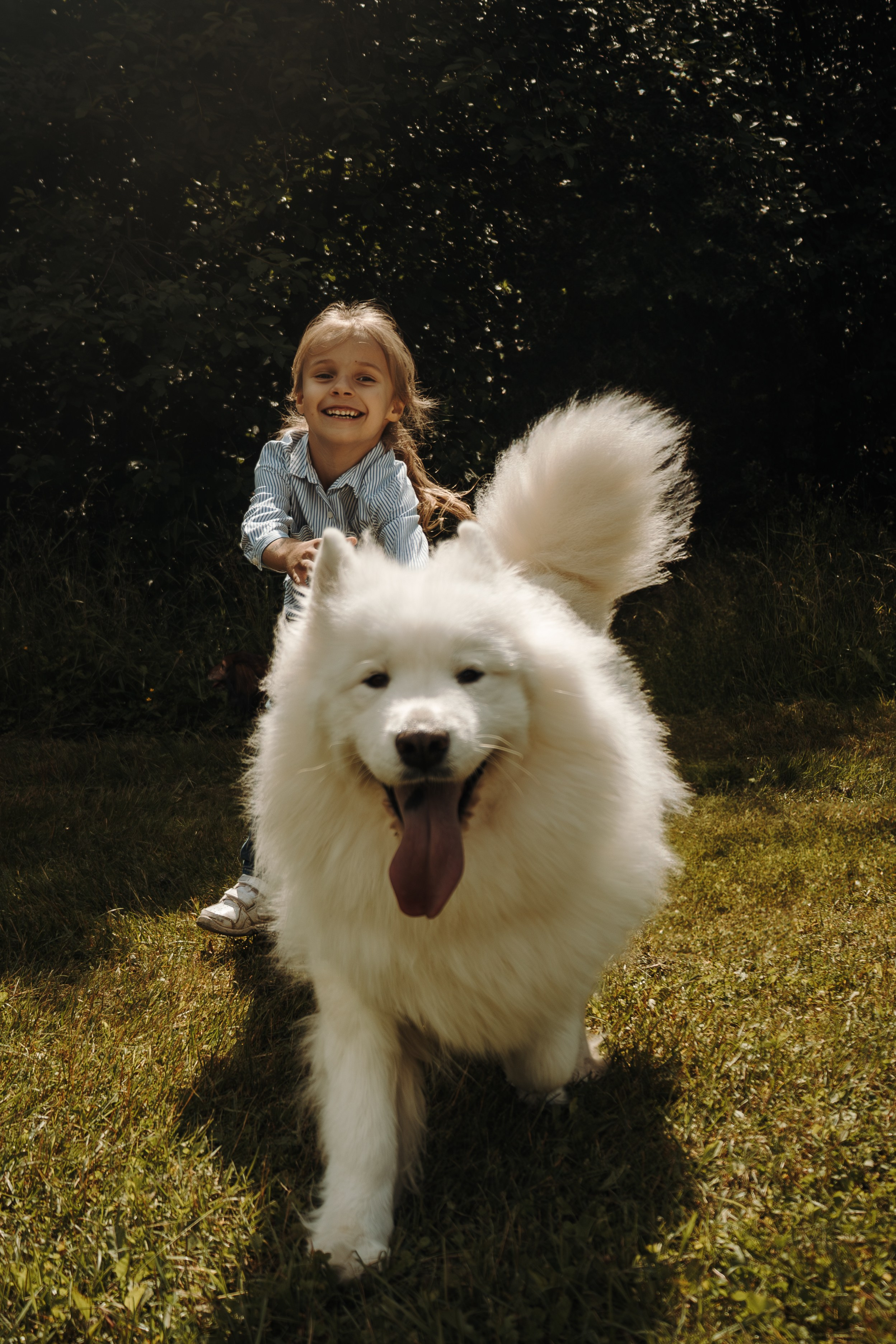 Семейная фотосессия с собаками в парке. Фотограф-анималист в Москве Екатерина Тихонова