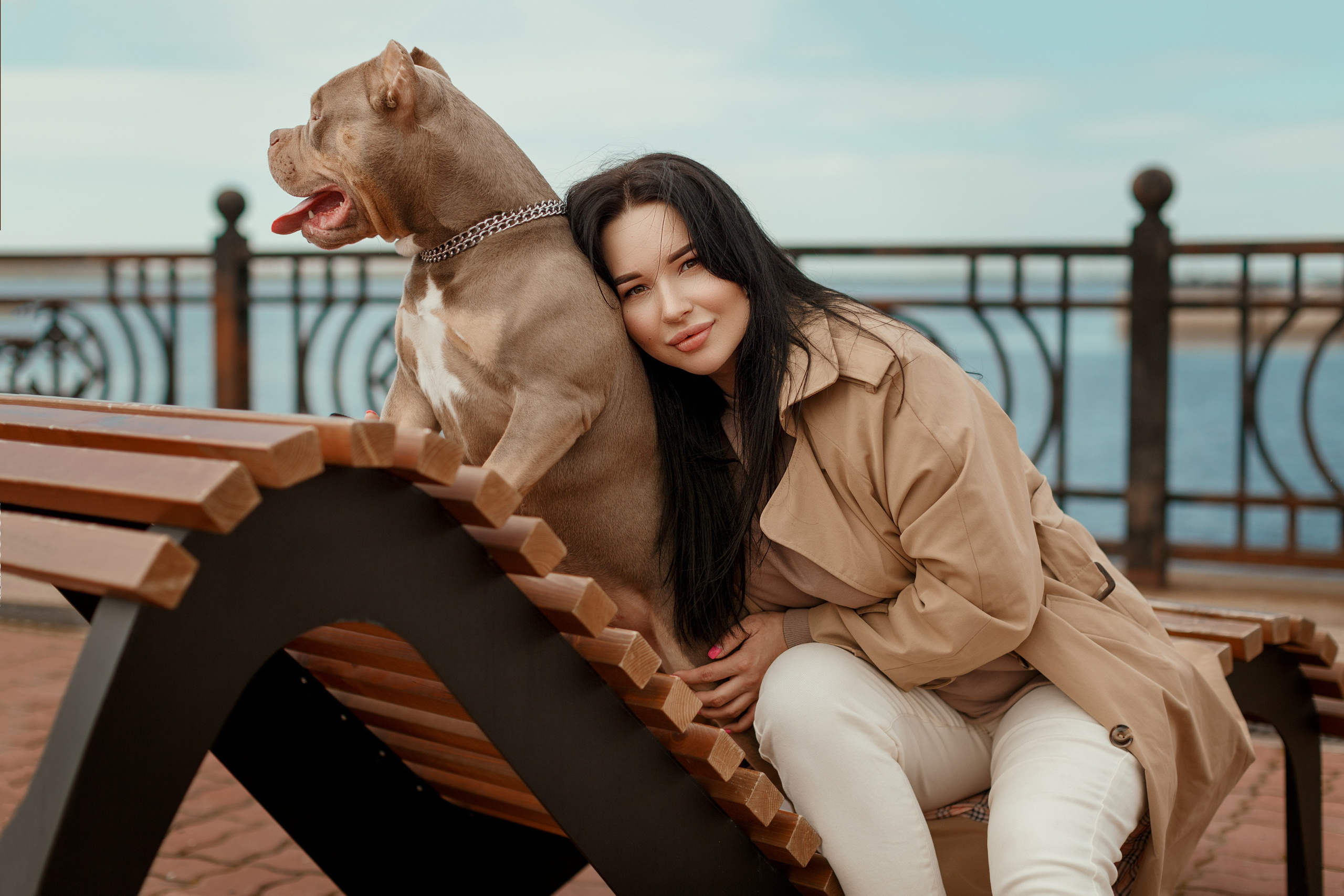 Фотосессии с вашими любимцами. Фотограф Артемьева Катерина|фотосессии с лошадьми