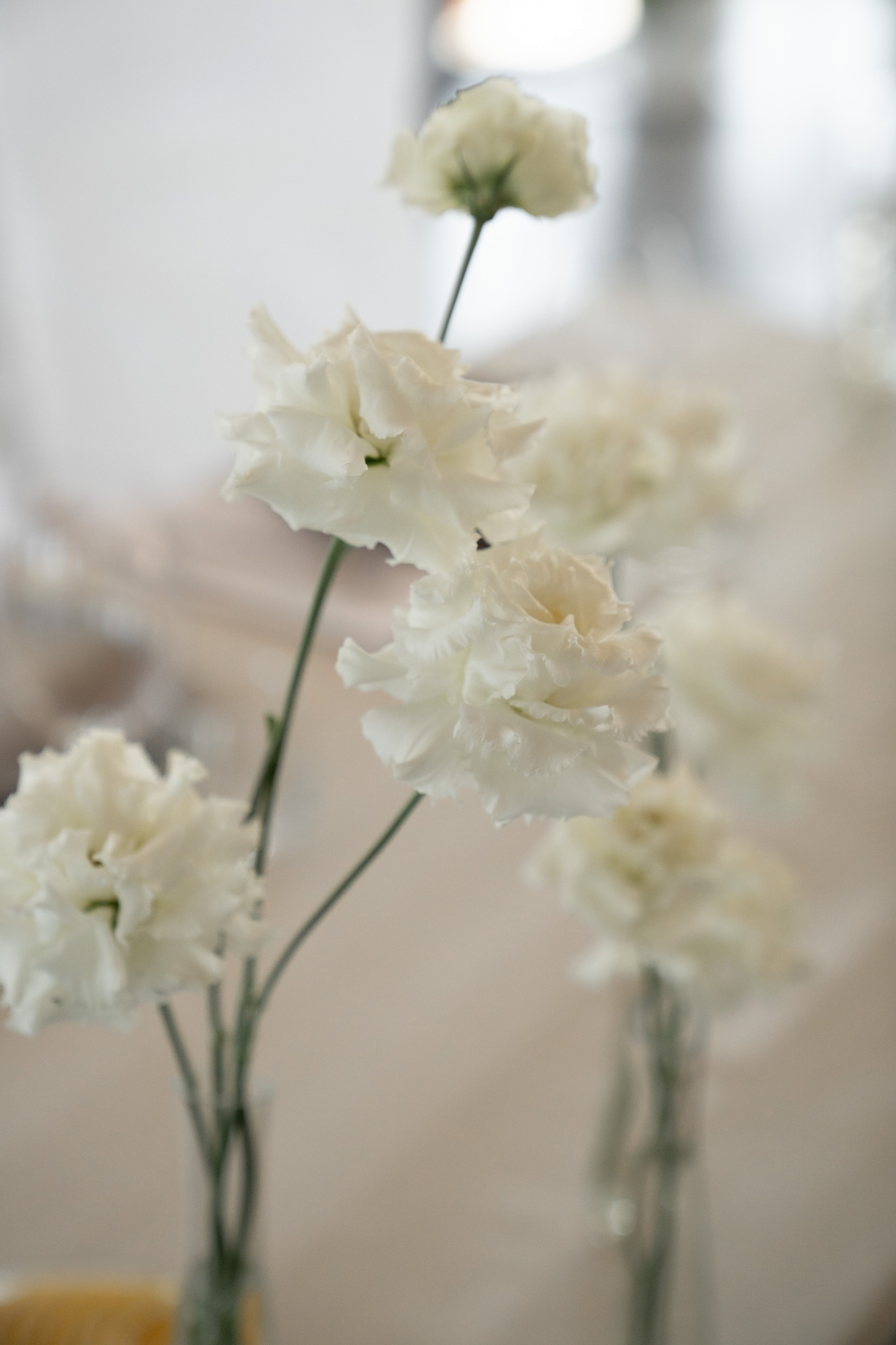 Екатерина и Алексей. Я Ира и я фотографирую свадьбы более 10 лет