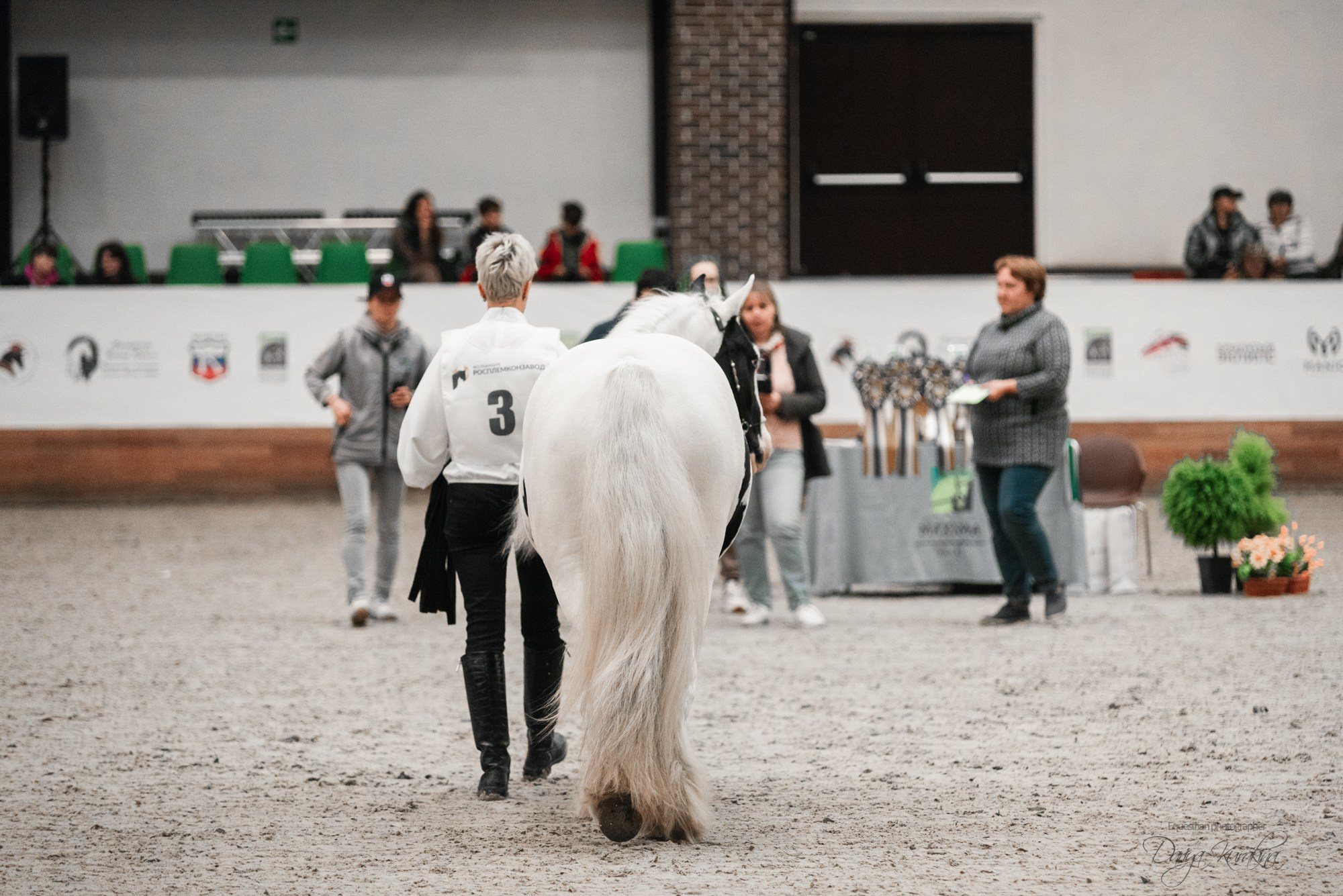 8-я международная выставка Конная Россия. Конный фотограф Куракина Дарья • Фотосессии с лошадьми